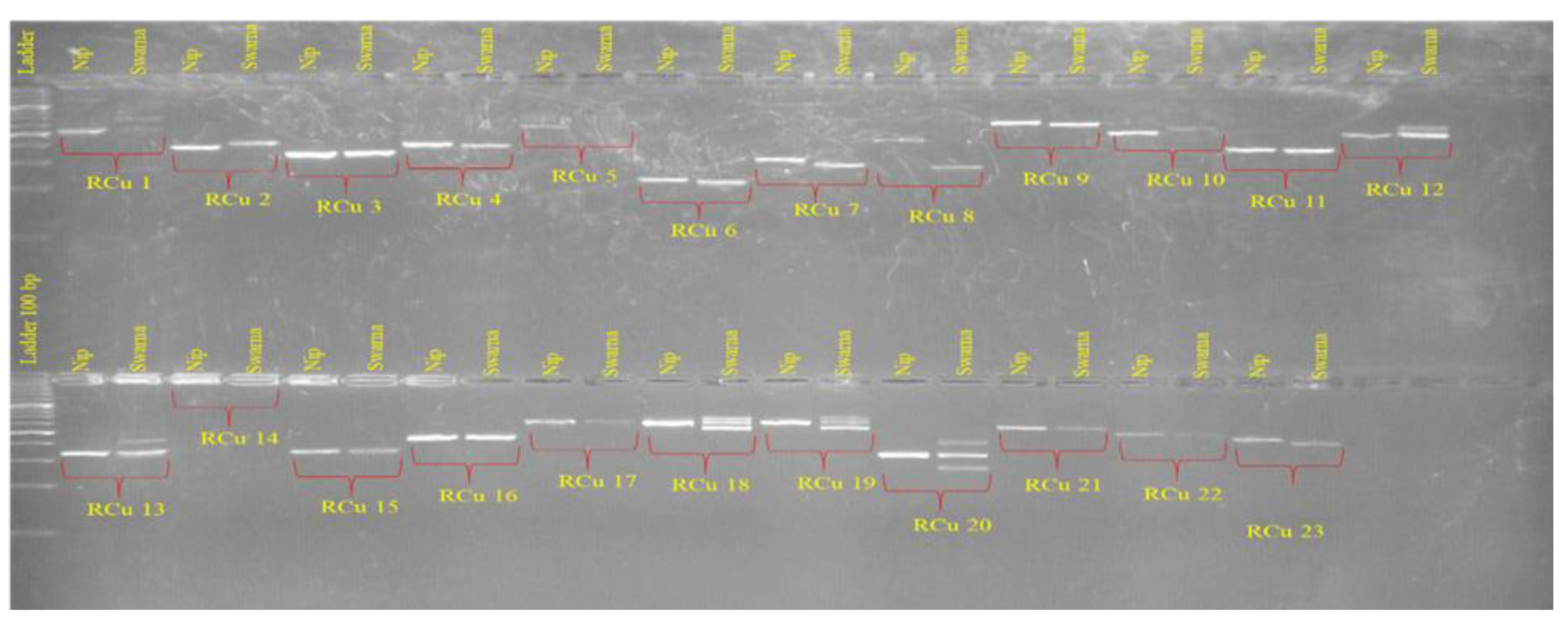 Preprints 190691 g003