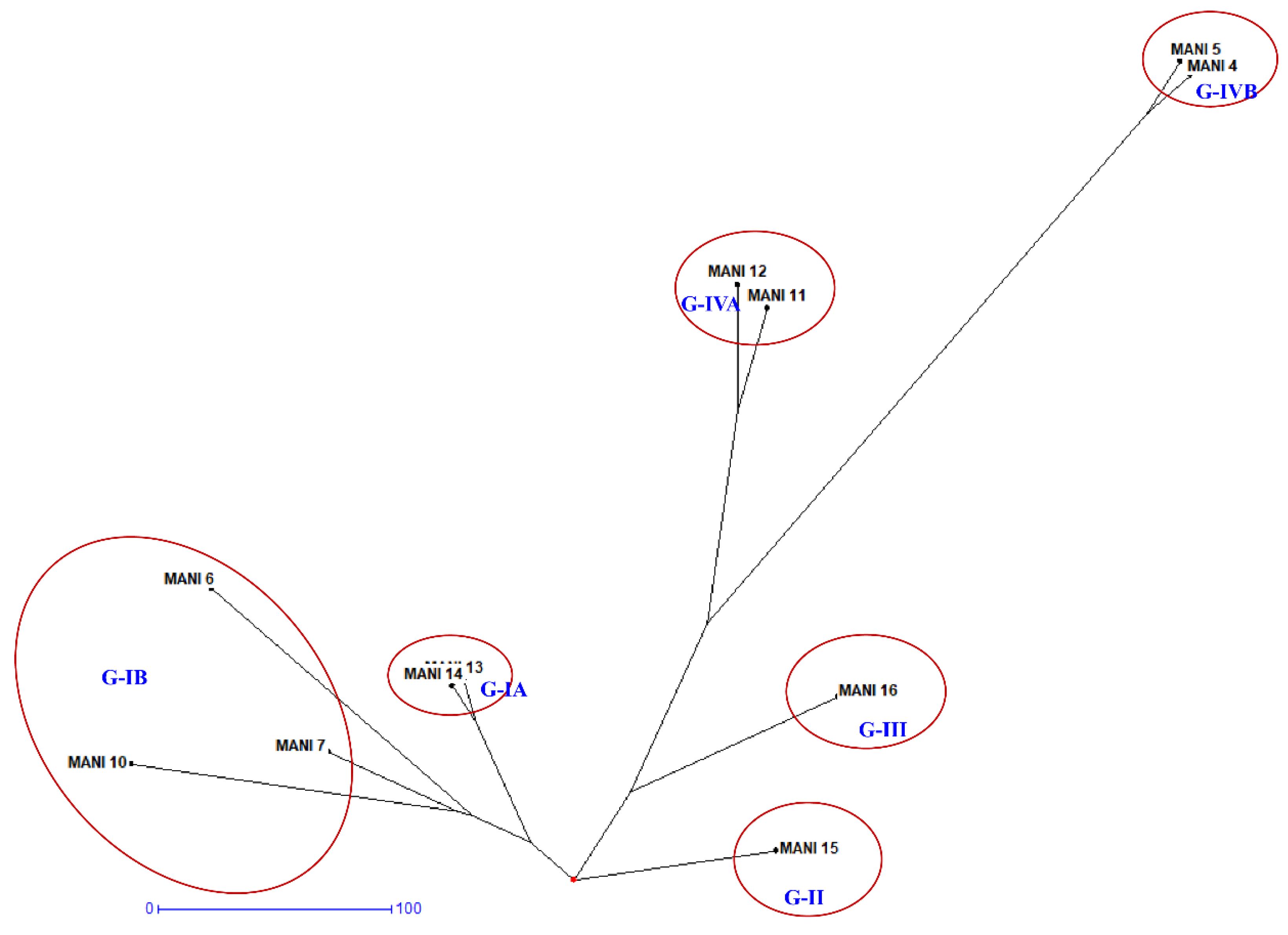 Preprints 190691 g005
