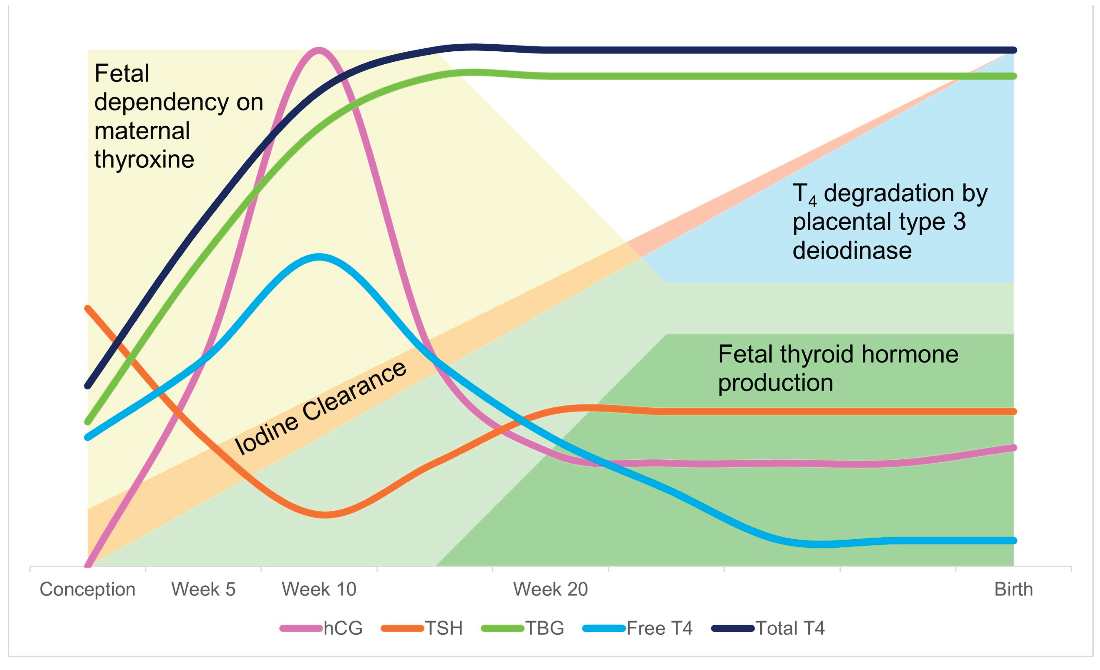 Preprints 171792 g004