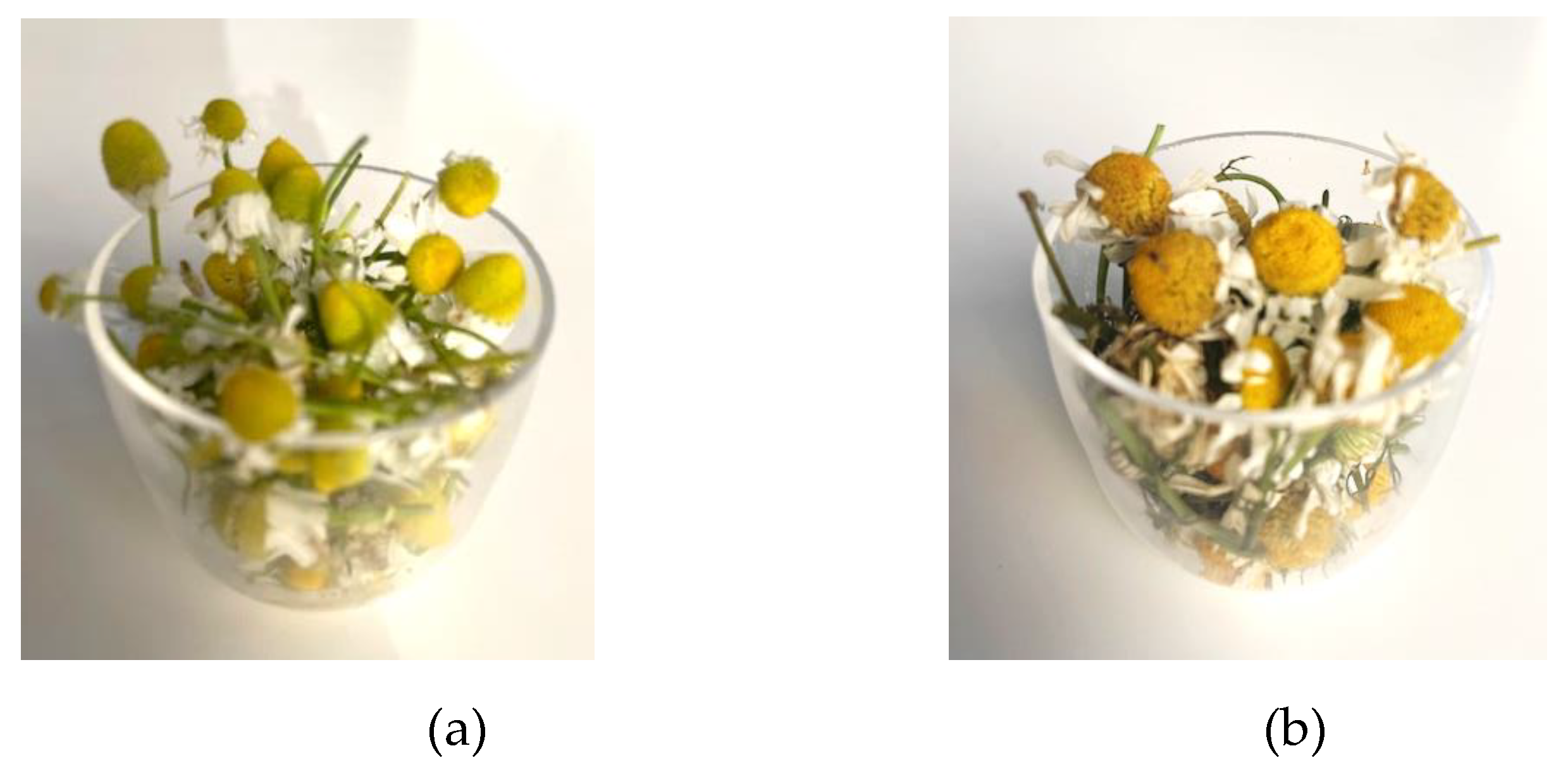 Preprints 179887 g001