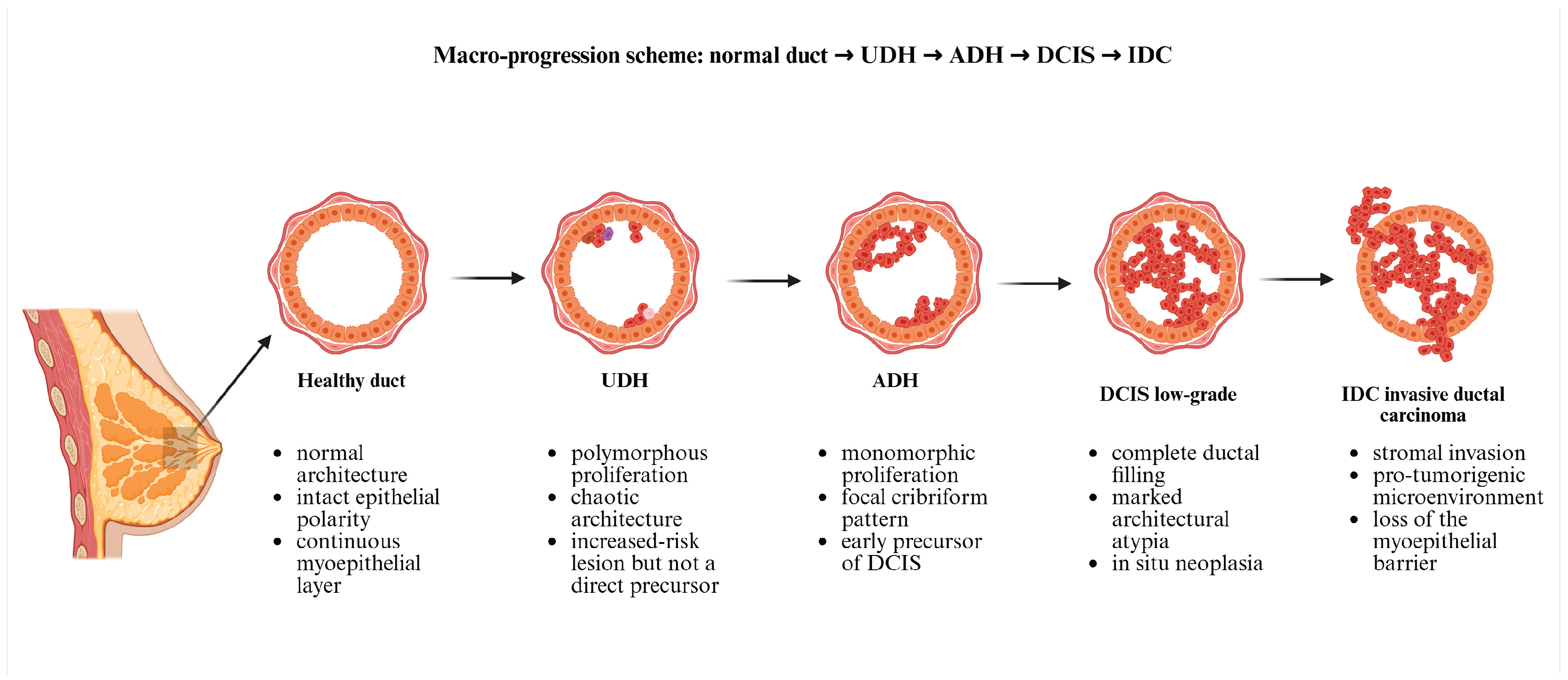 Preprints 190187 g001