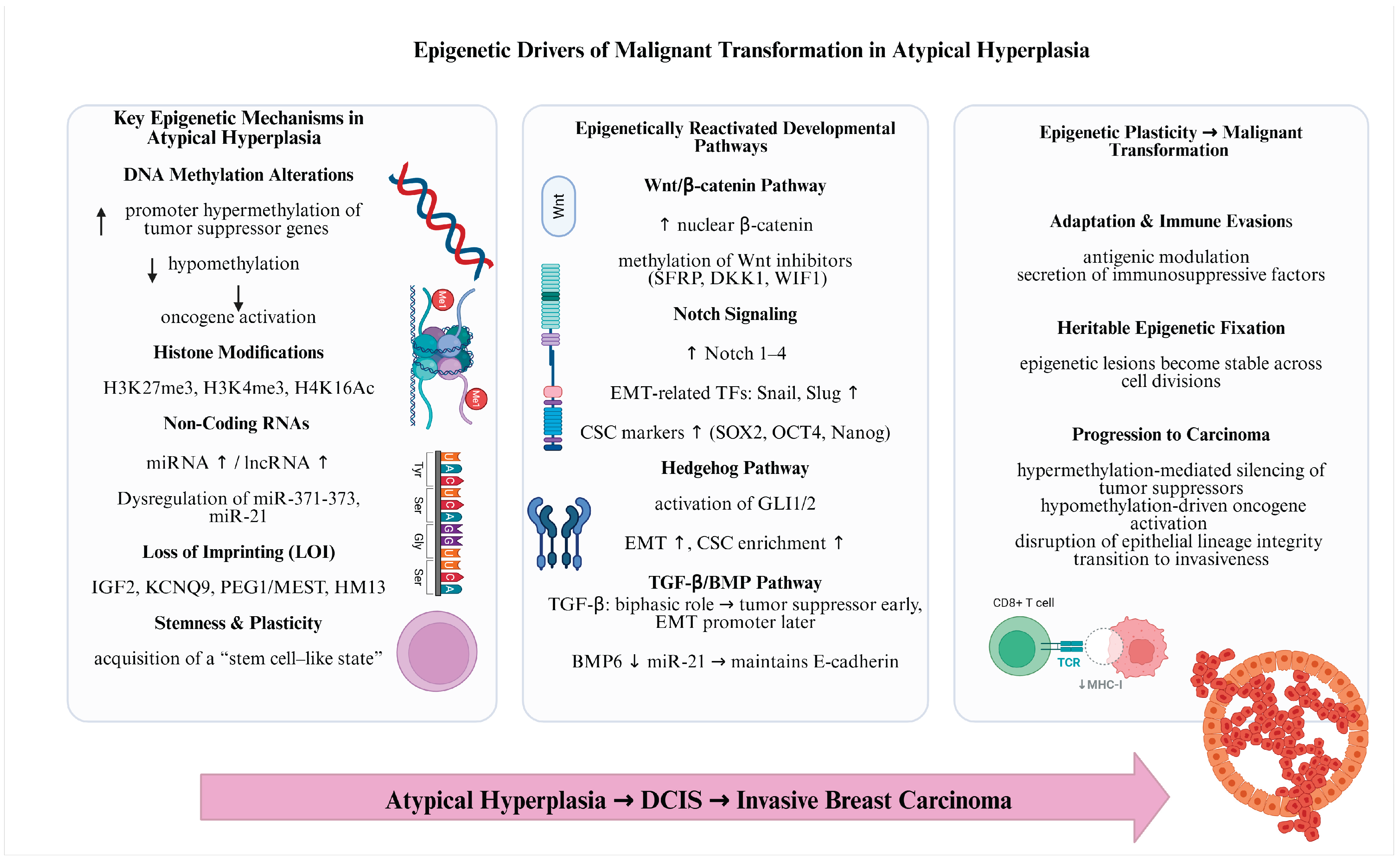 Preprints 190187 g002