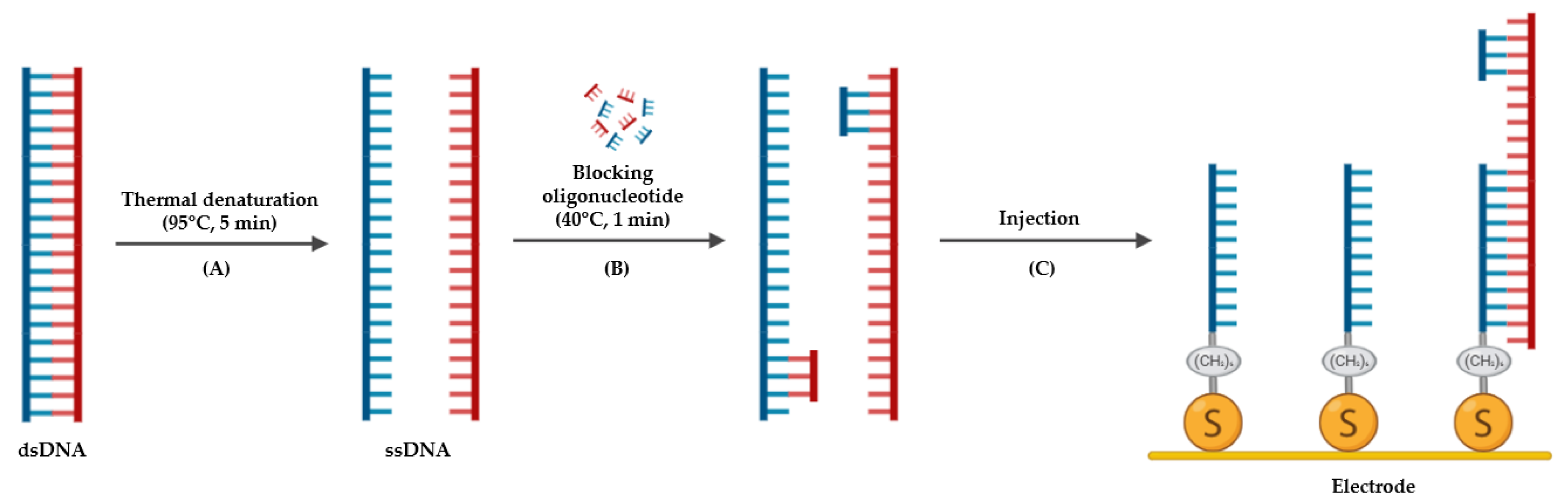 Preprints 198952 g001
