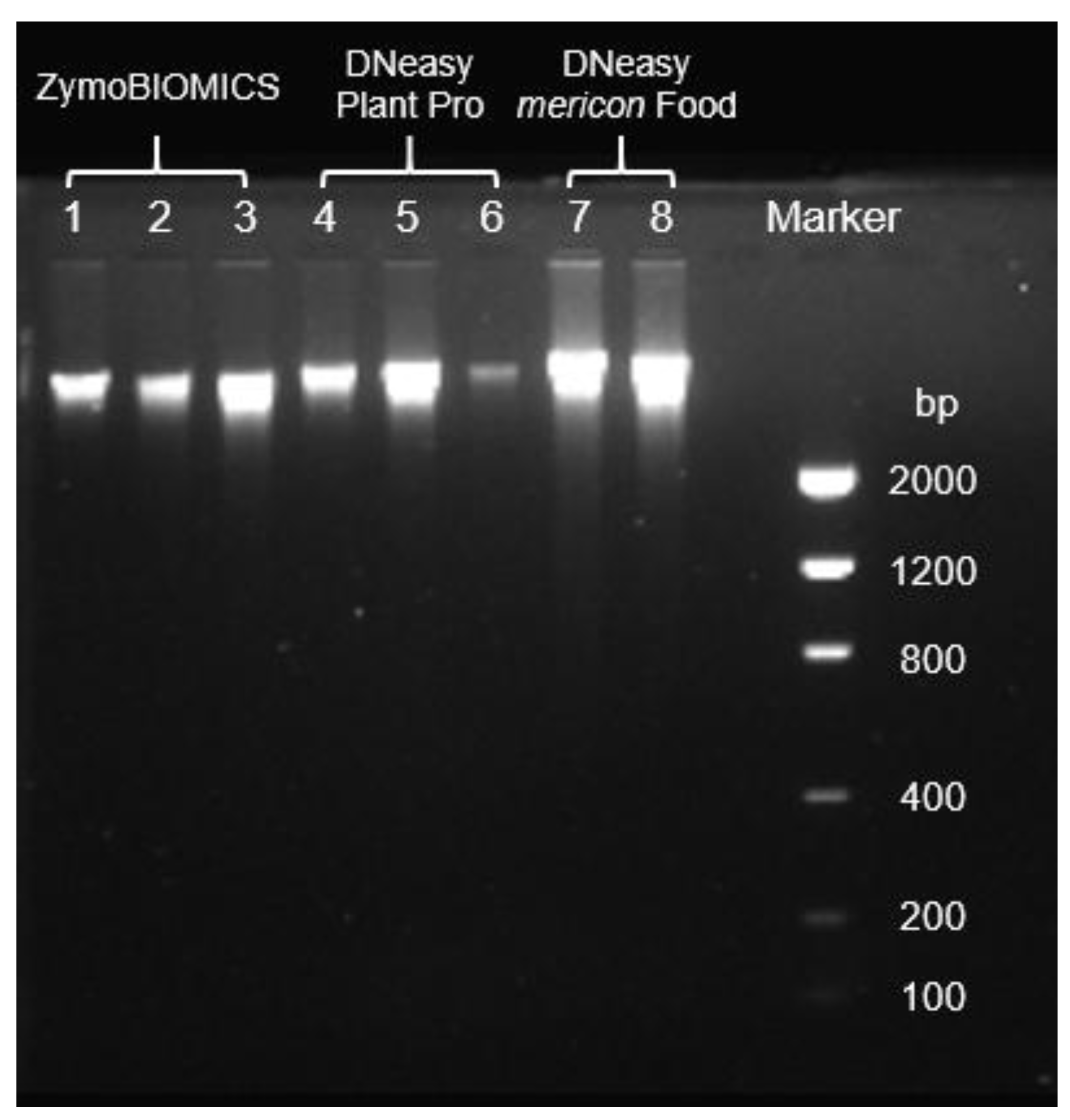 Preprints 198952 g003