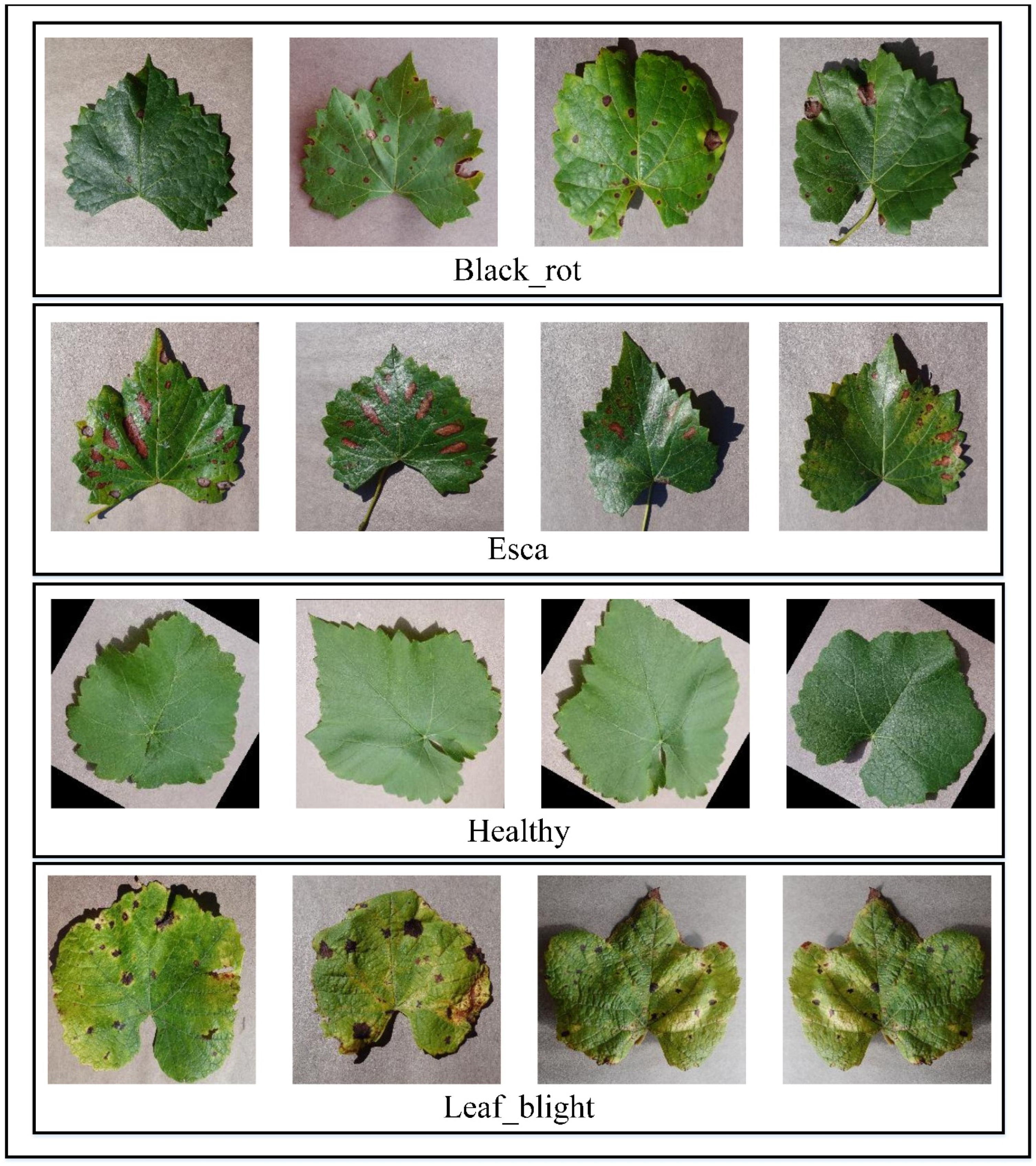 Preprints 188888 g002