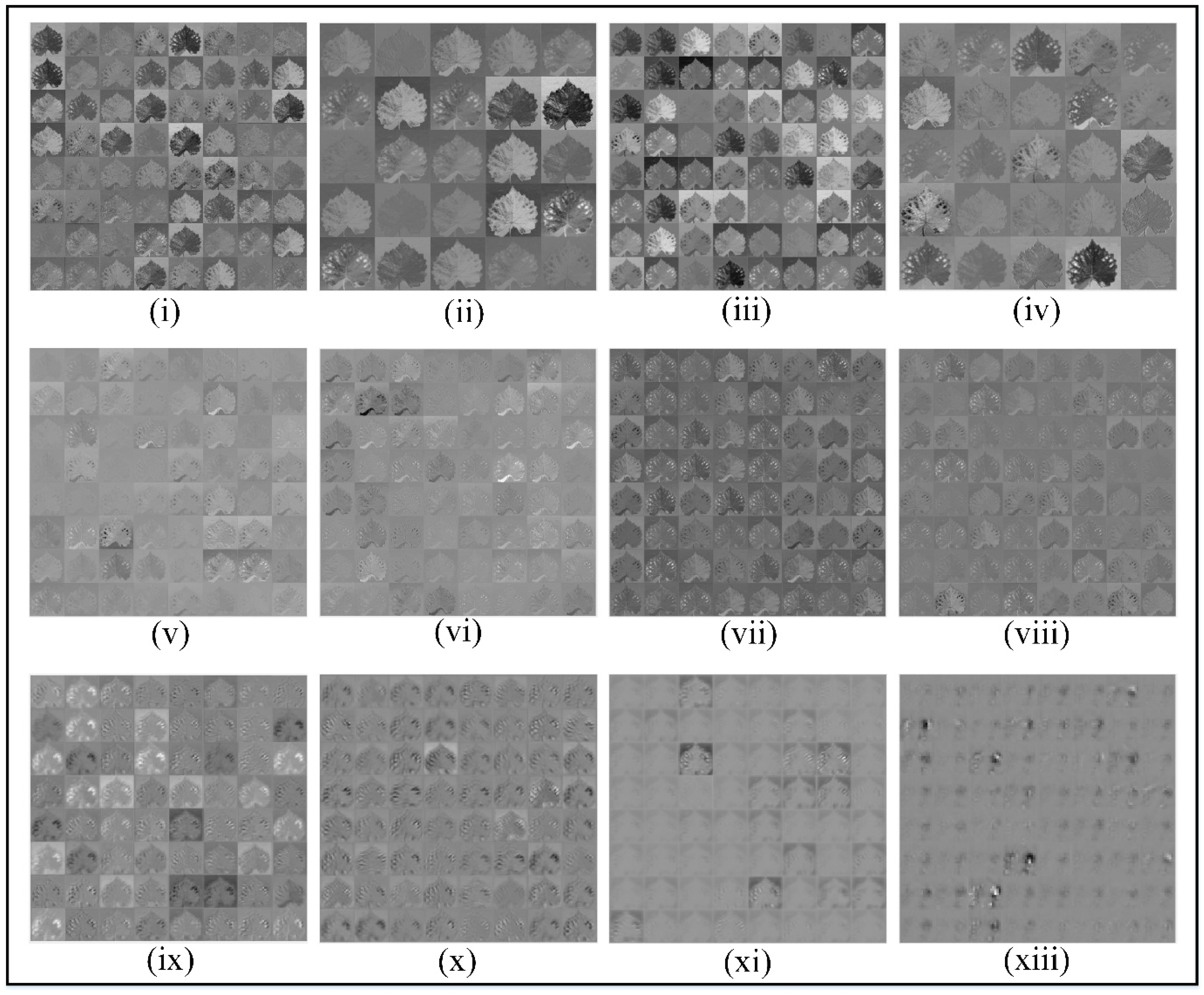 Preprints 188888 g009