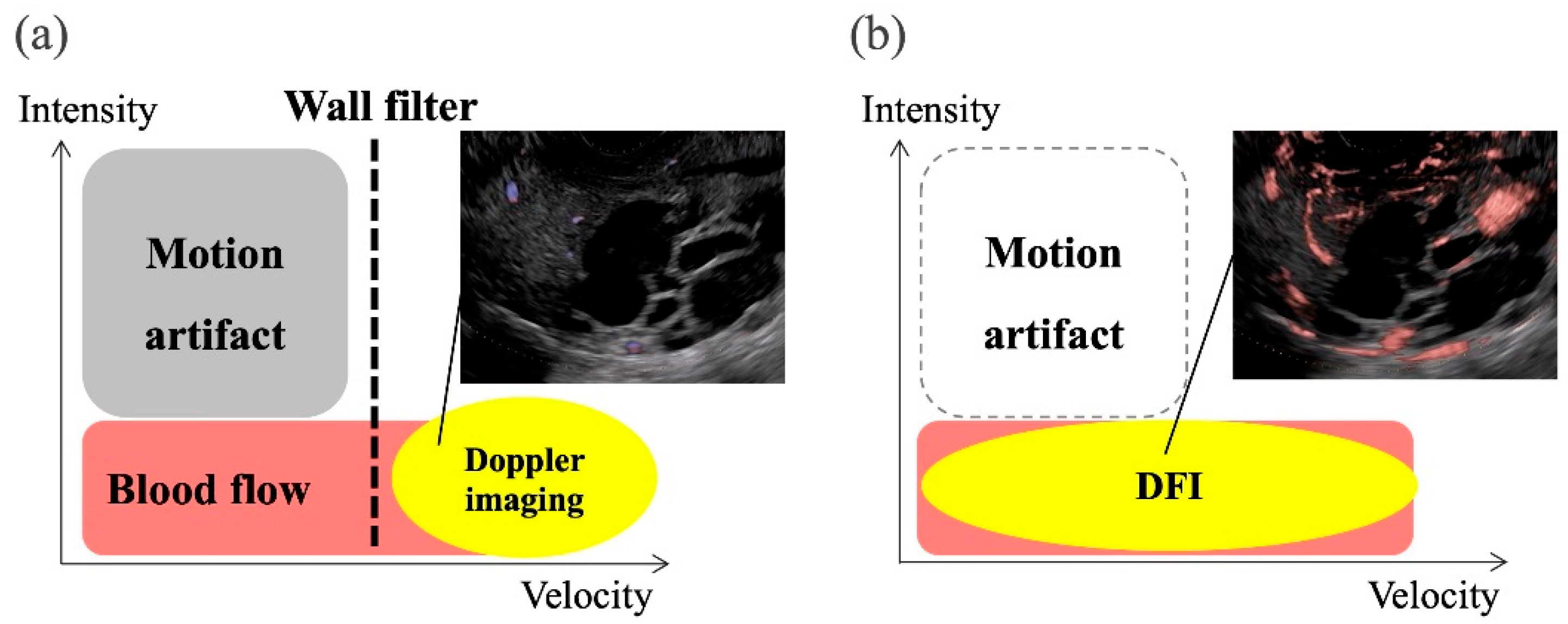 Preprints 102499 g001