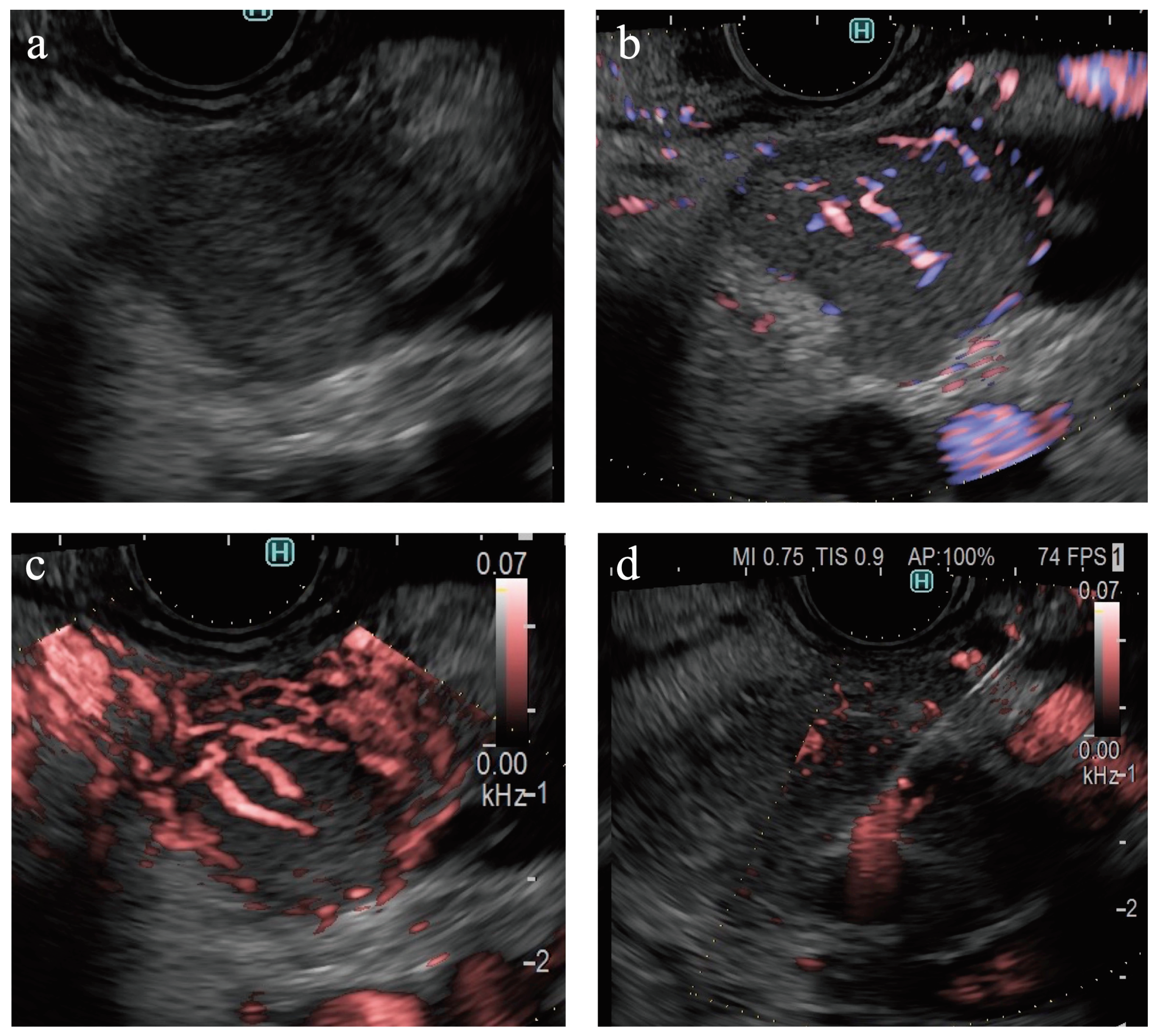 Preprints 102499 g005