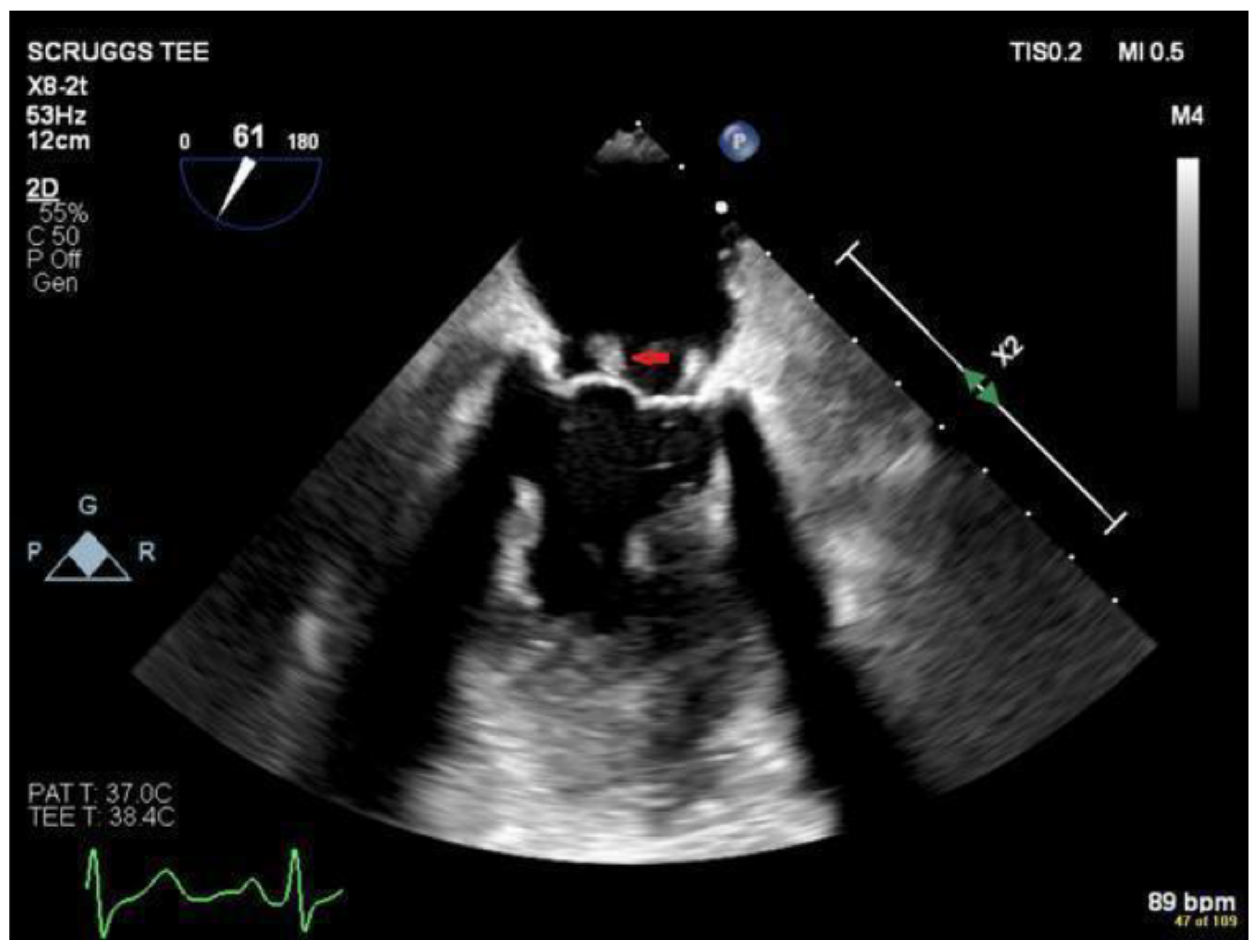 Preprints 90645 g002