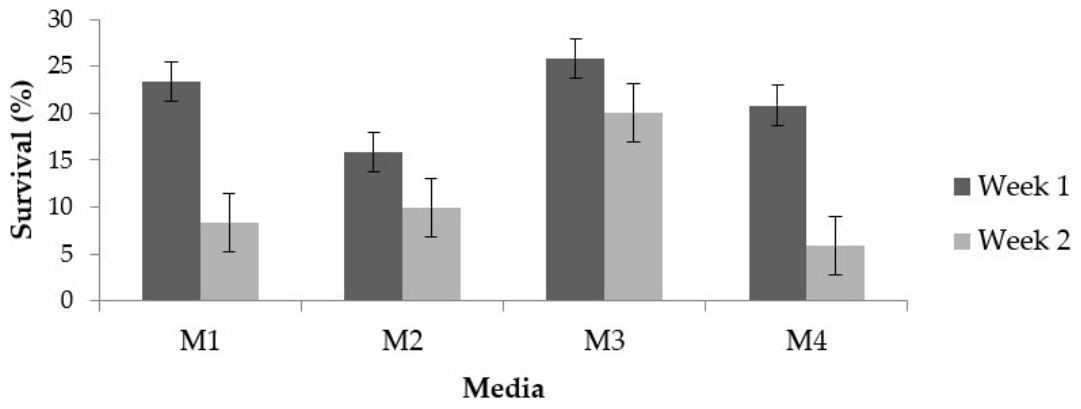 Preprints 228882 g002 Preprints 228882 g002