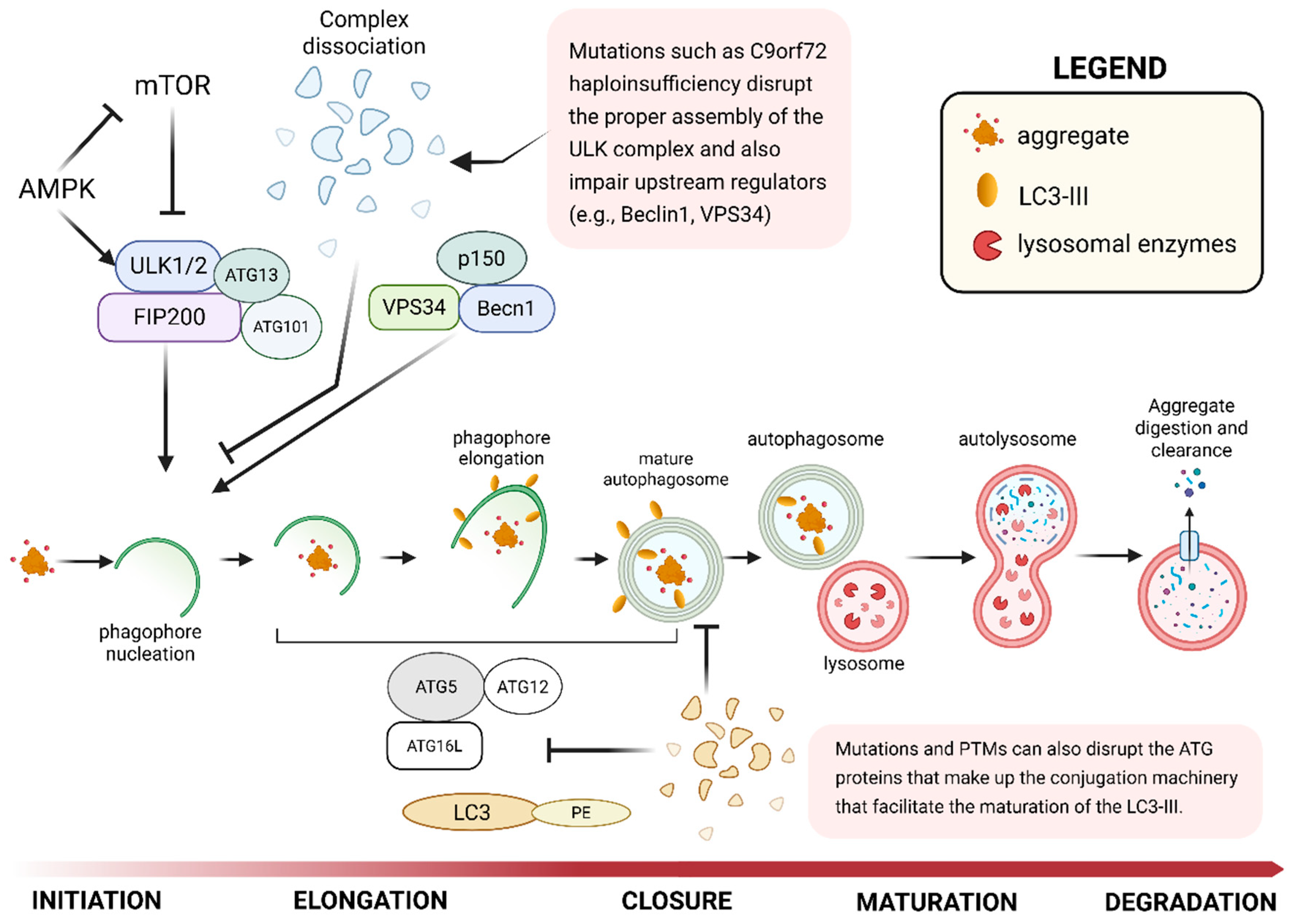 Preprints 189821 g002