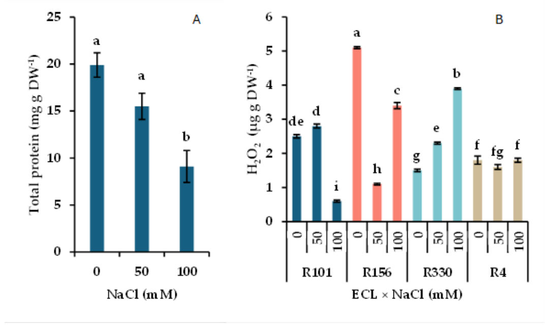 Preprints 222216 g003