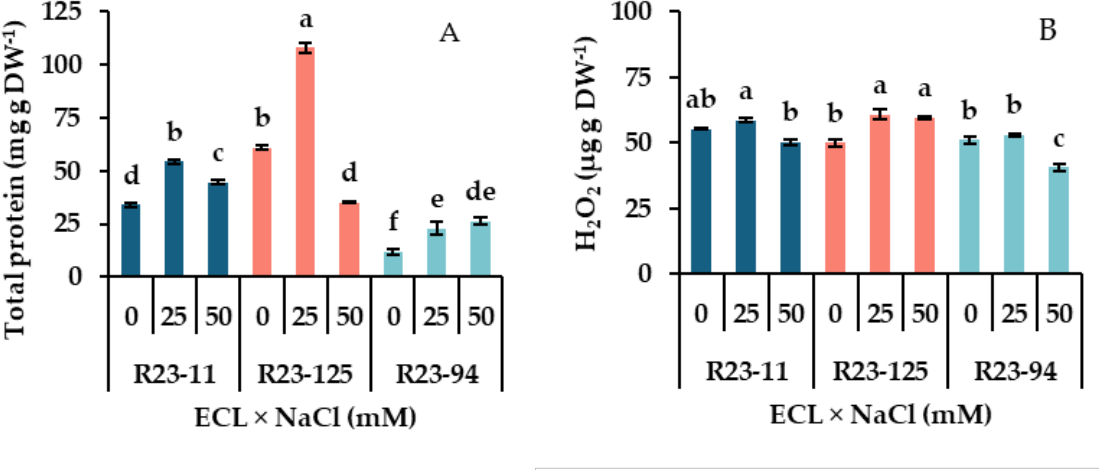 Preprints 222216 g006