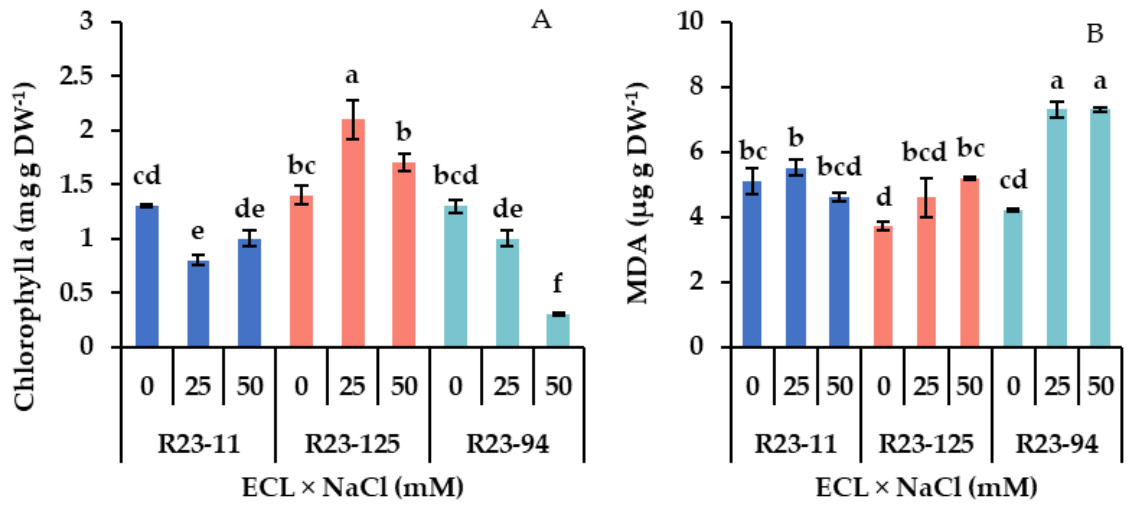 Preprints 222216 g007