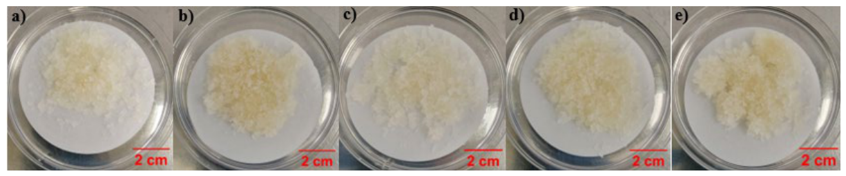 Preprints 222216 g009