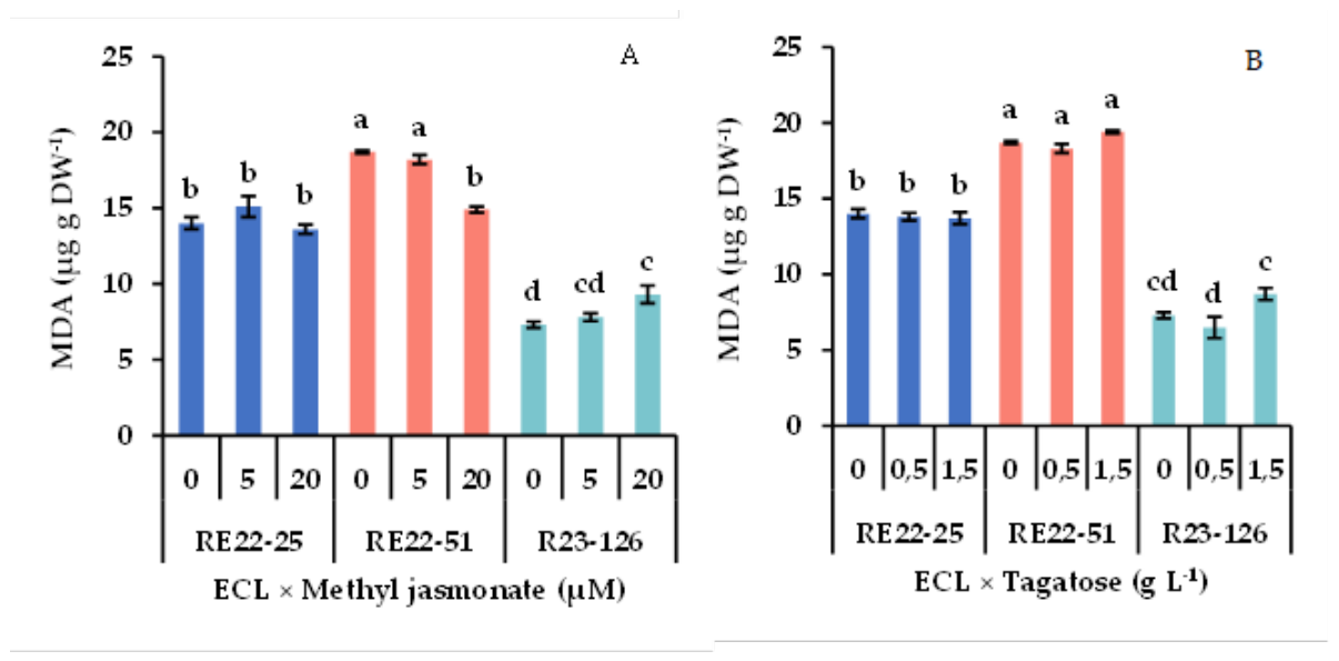 Preprints 222216 g012