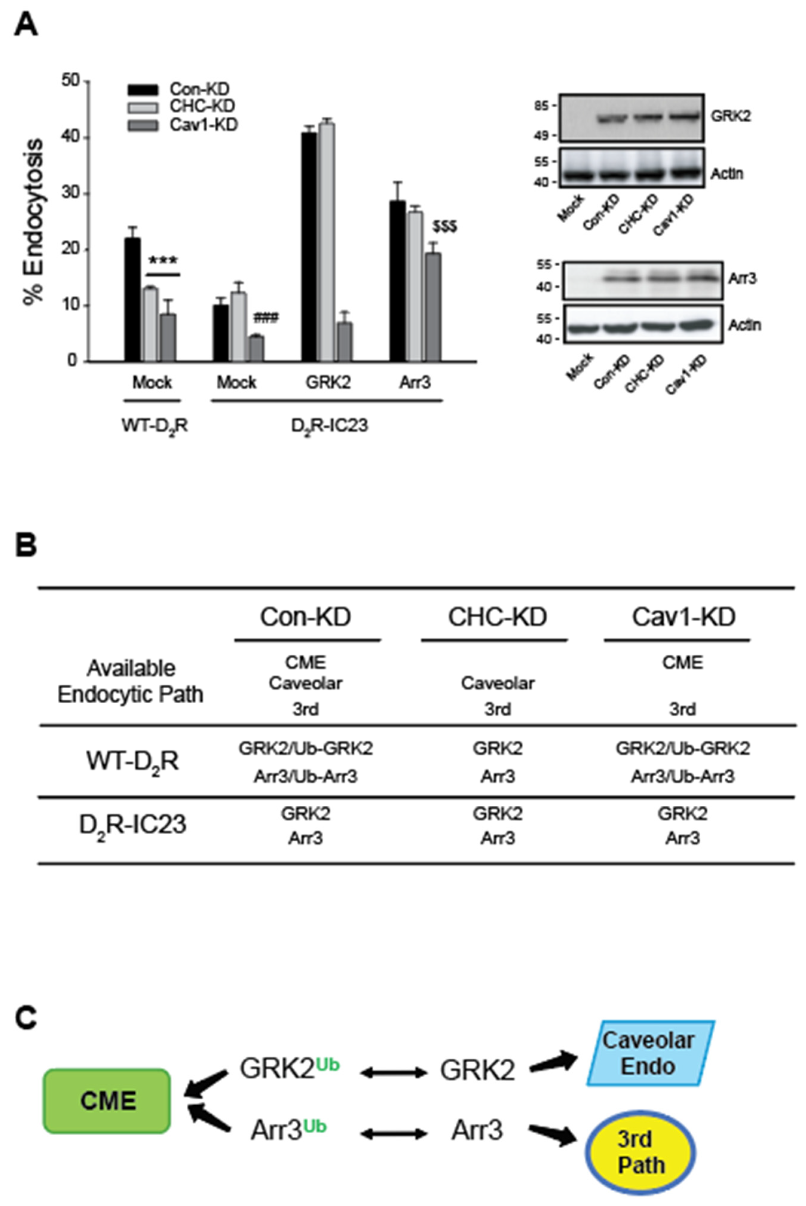 Preprints 150146 g005