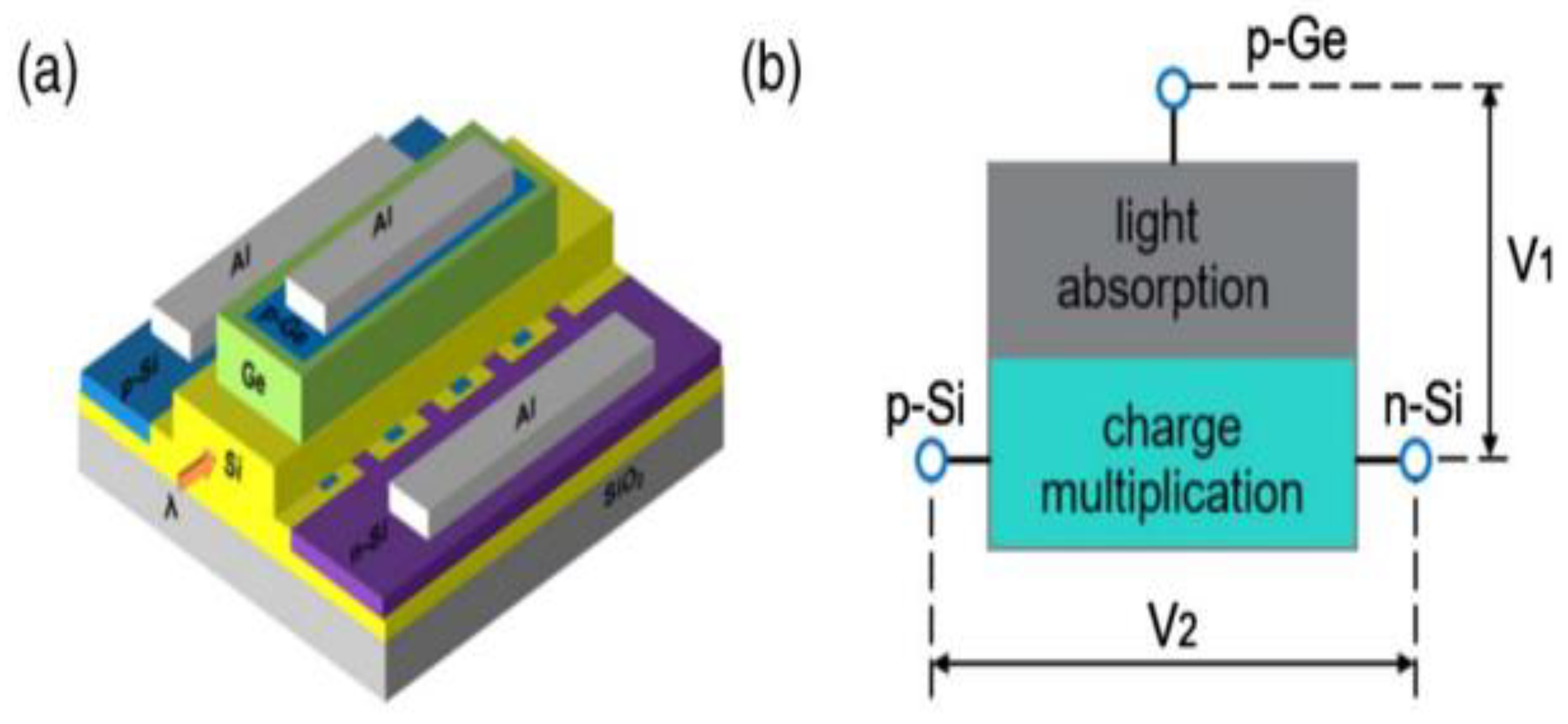 Preprints 157158 g008