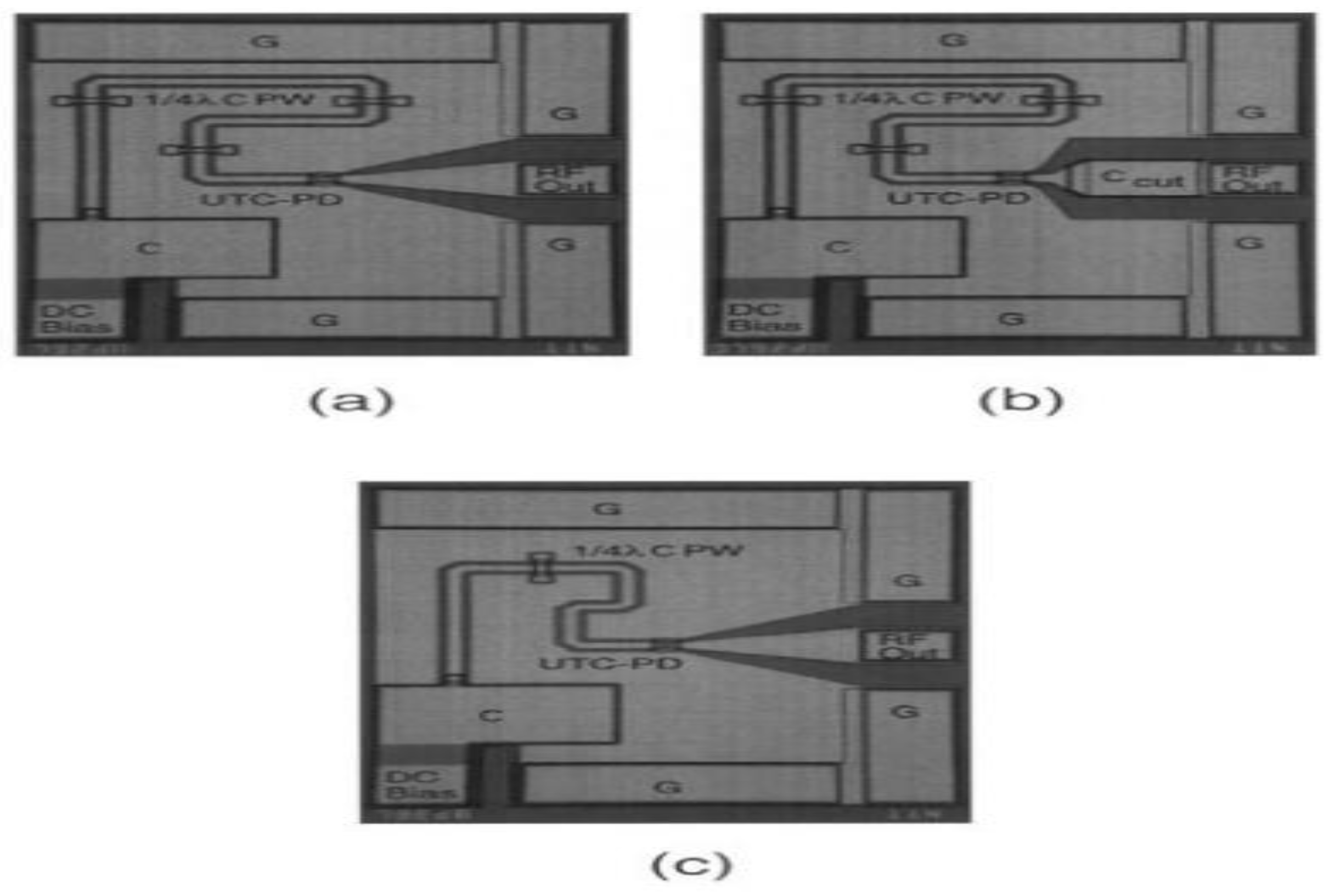 Preprints 157158 g019