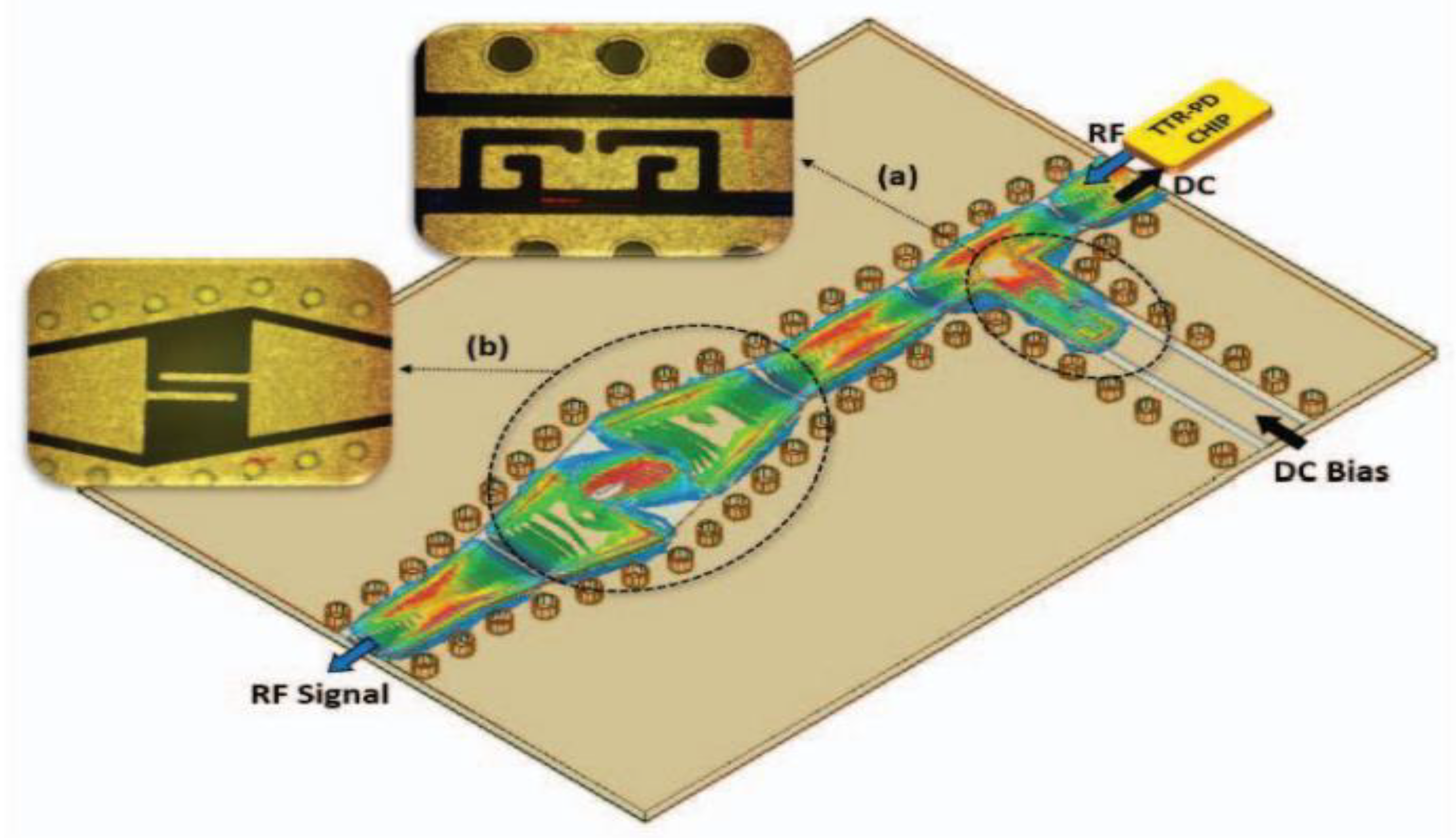 Preprints 157158 g024