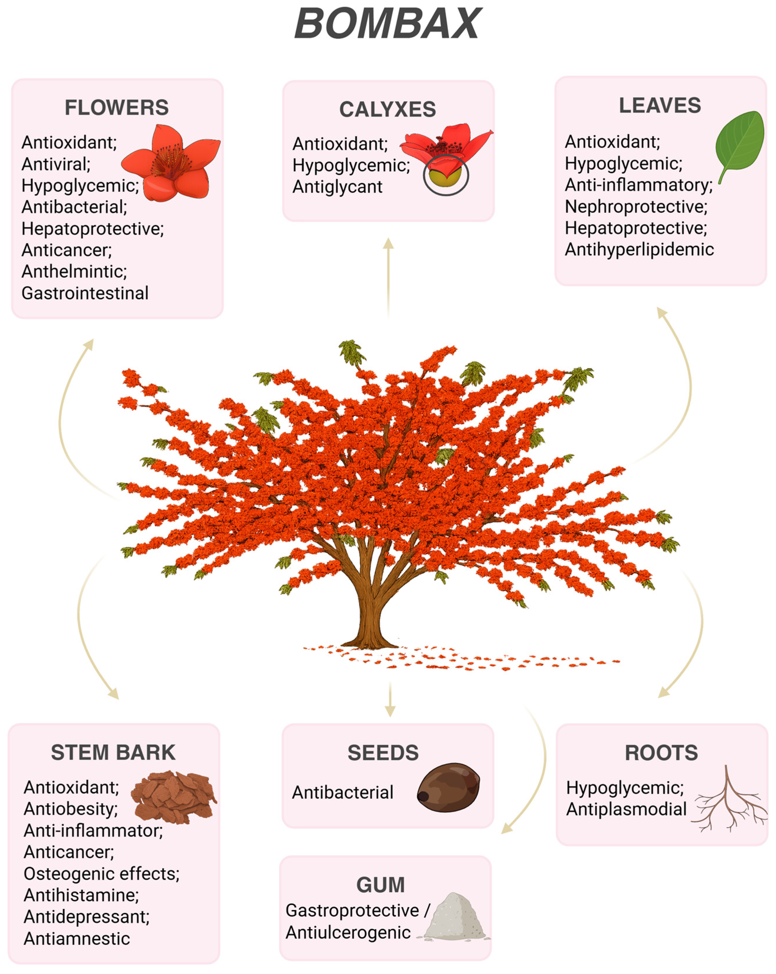 Preprints 200172 g002