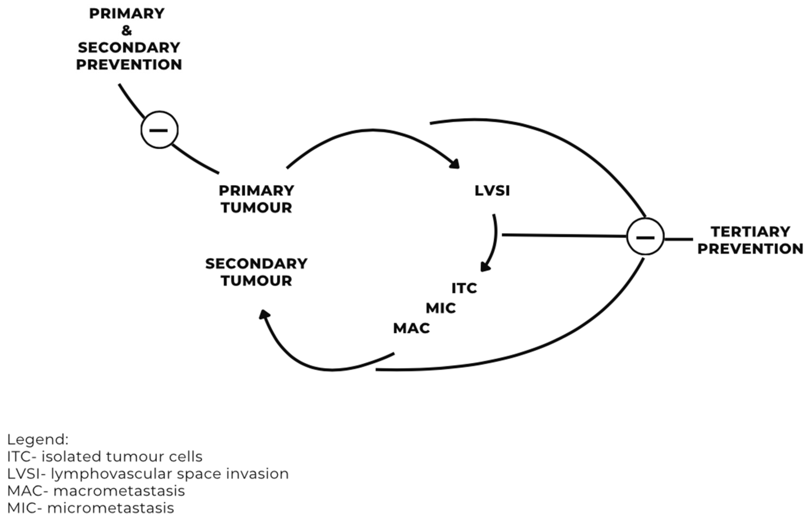 Preprints 139692 g002