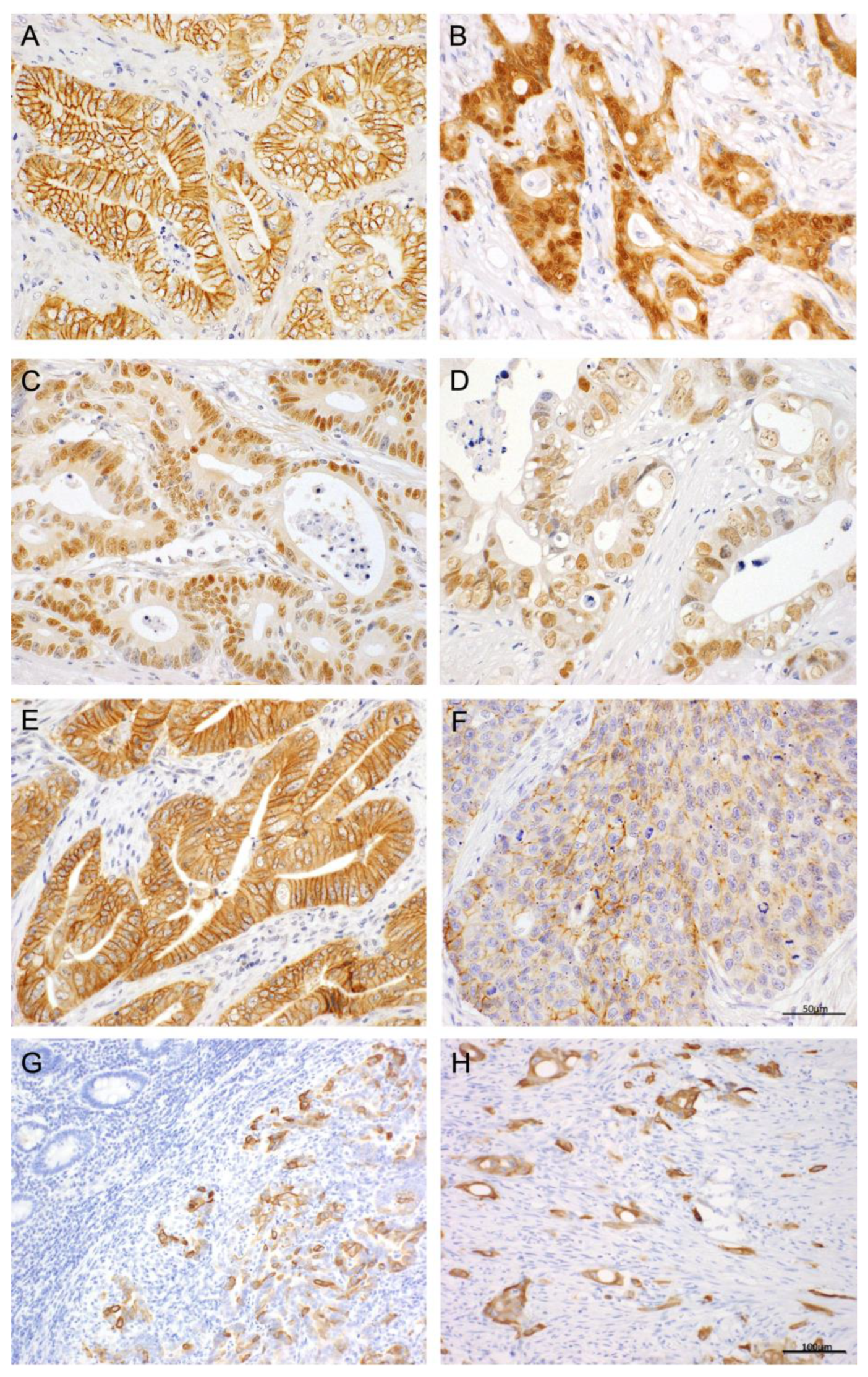 Preprints 170764 g001