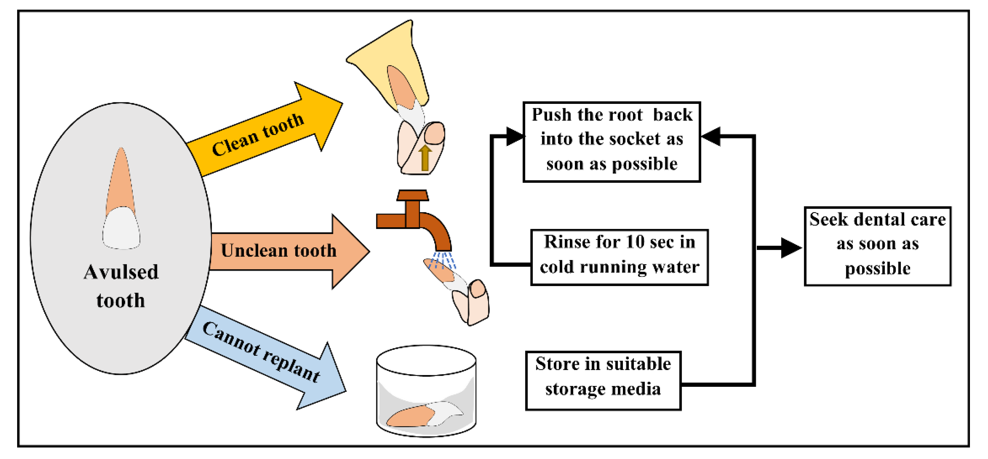 Preprints 186006 g003