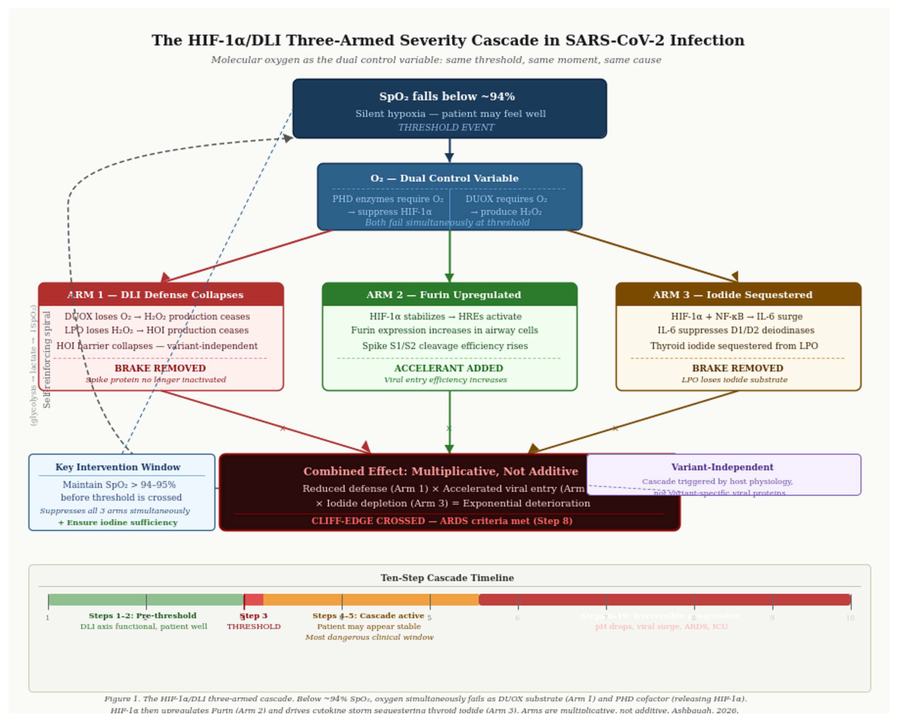 Preprints 206579 g001