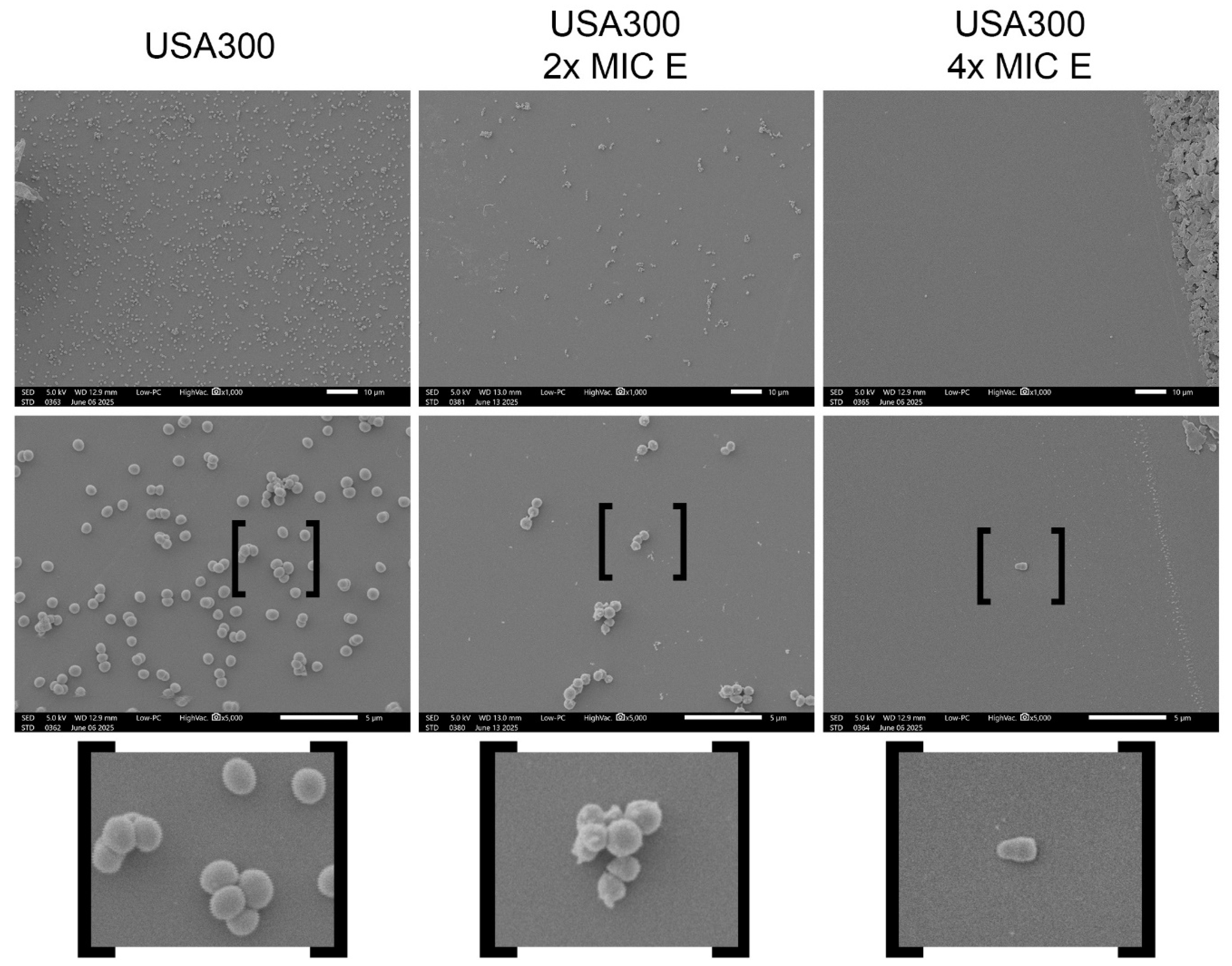 Preprints 167583 g001