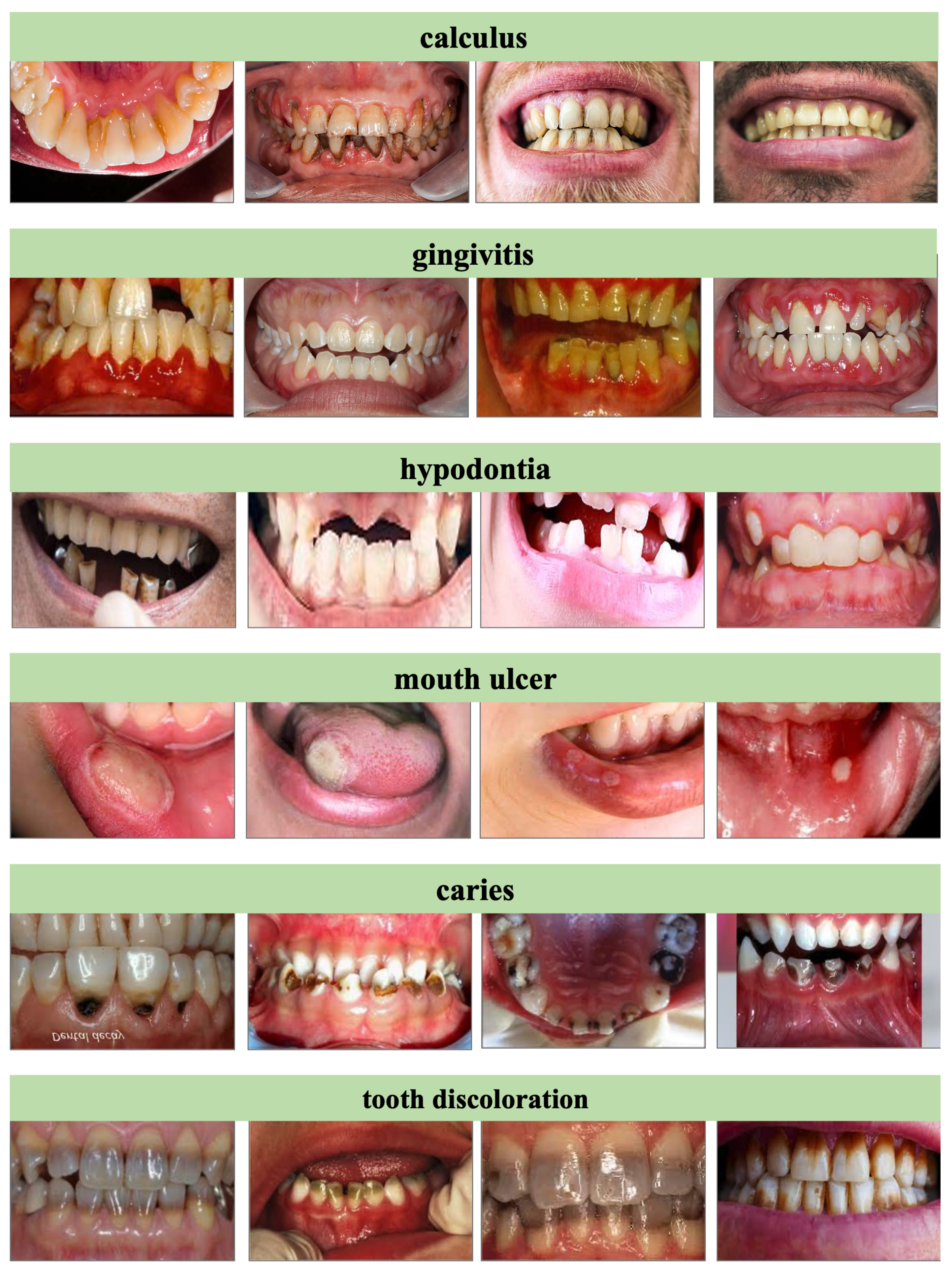 Preprints 168760 g003