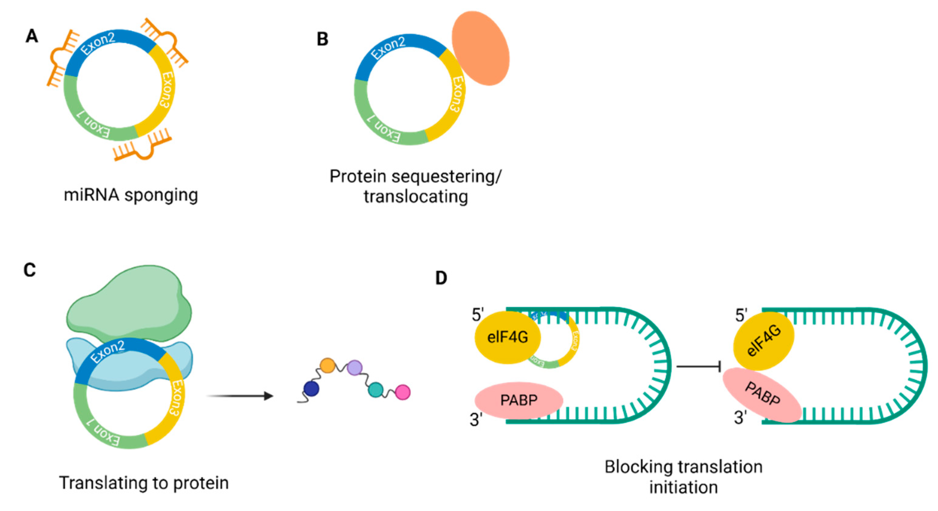 Preprints 177636 g002