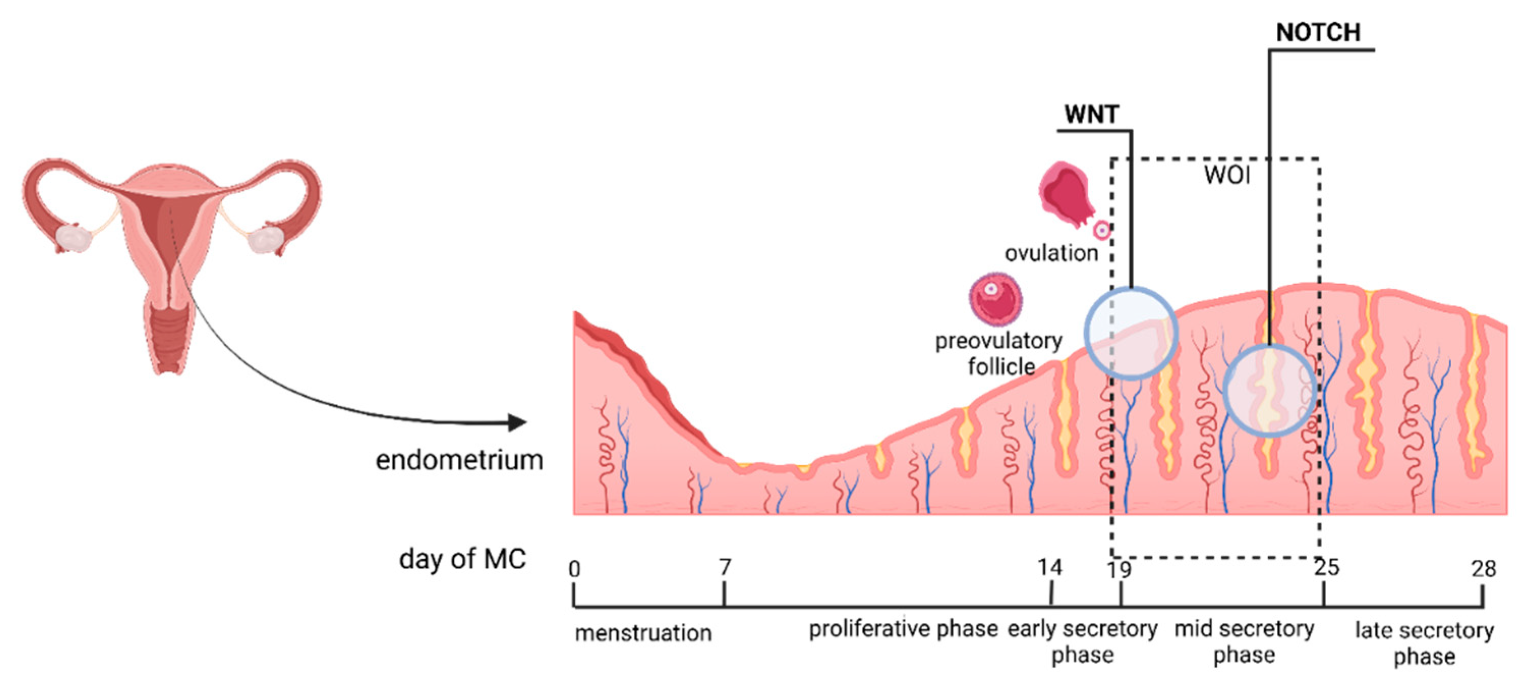 Preprints 177636 g003