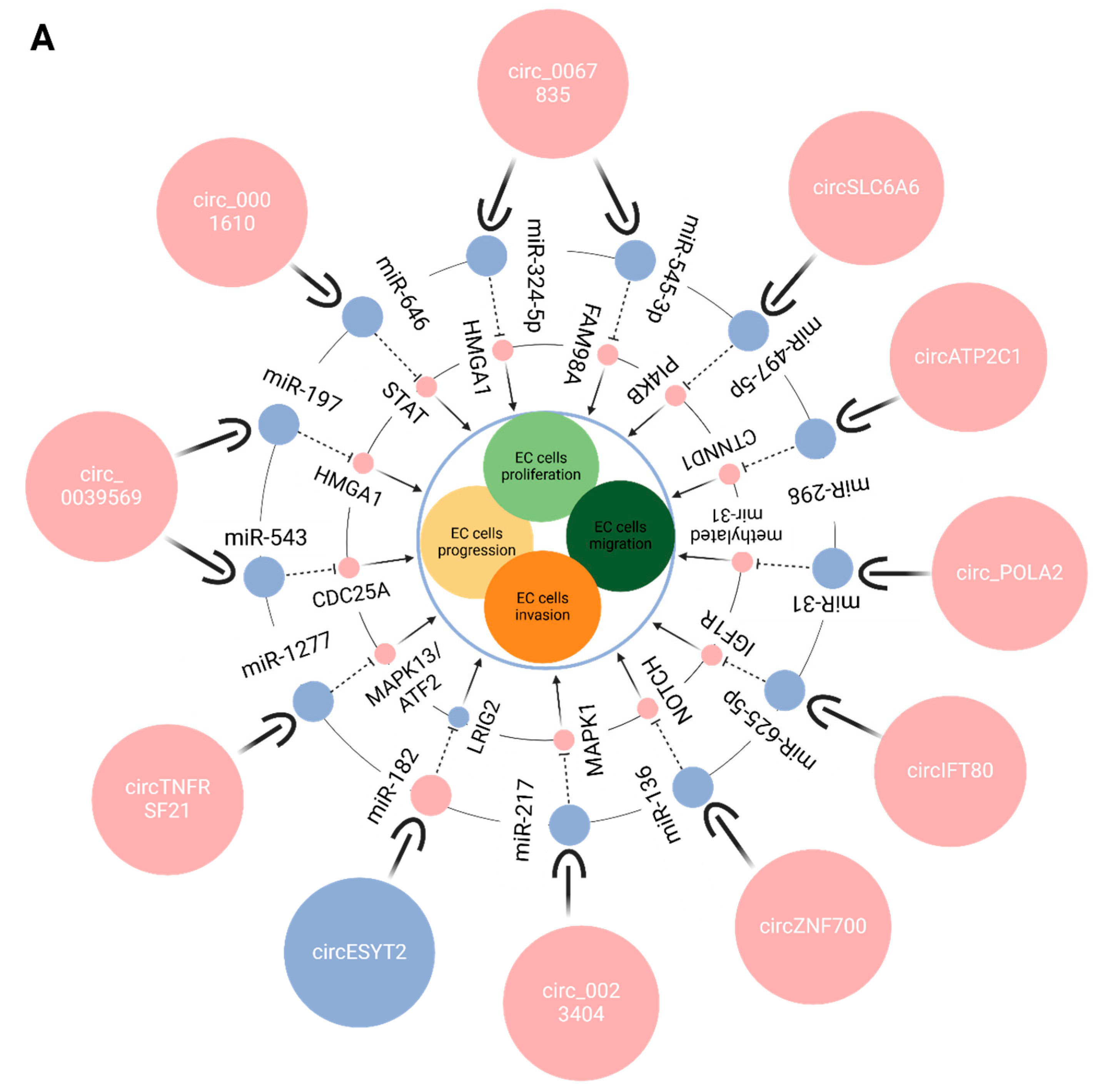 Preprints 177636 g004