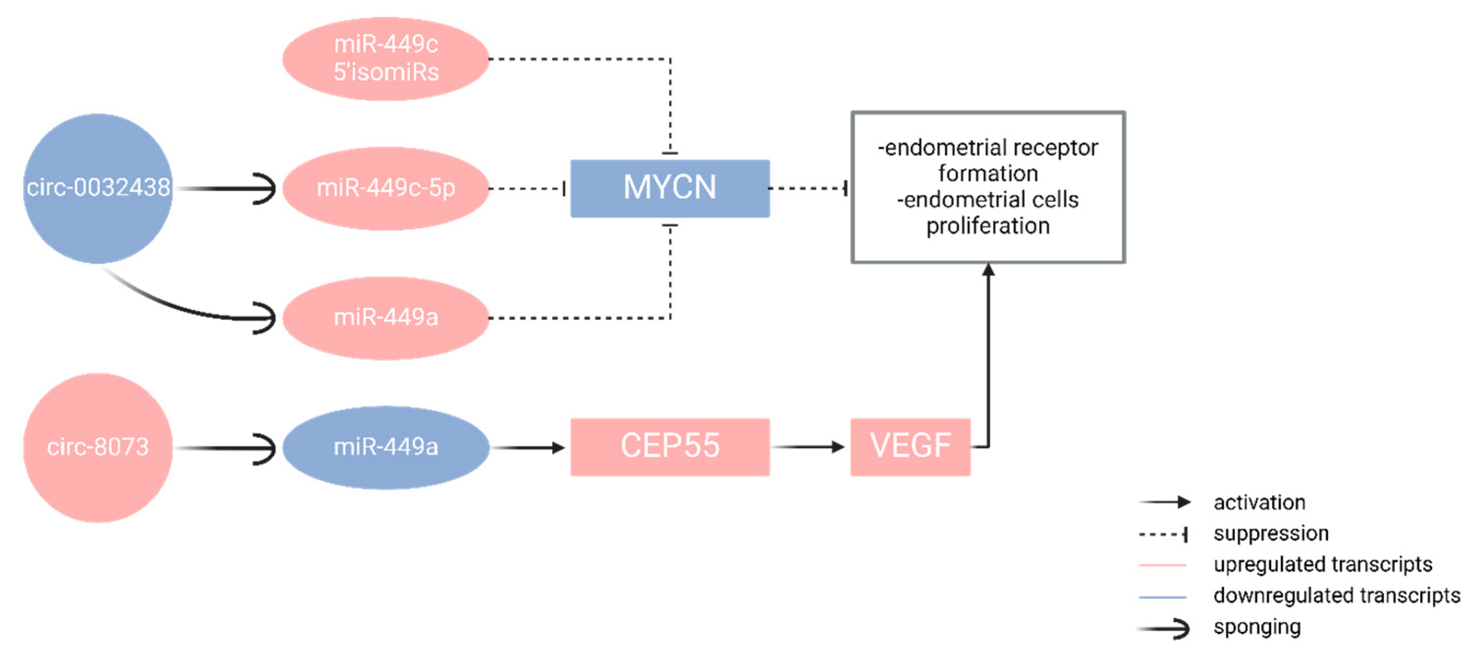 Preprints 177636 g006