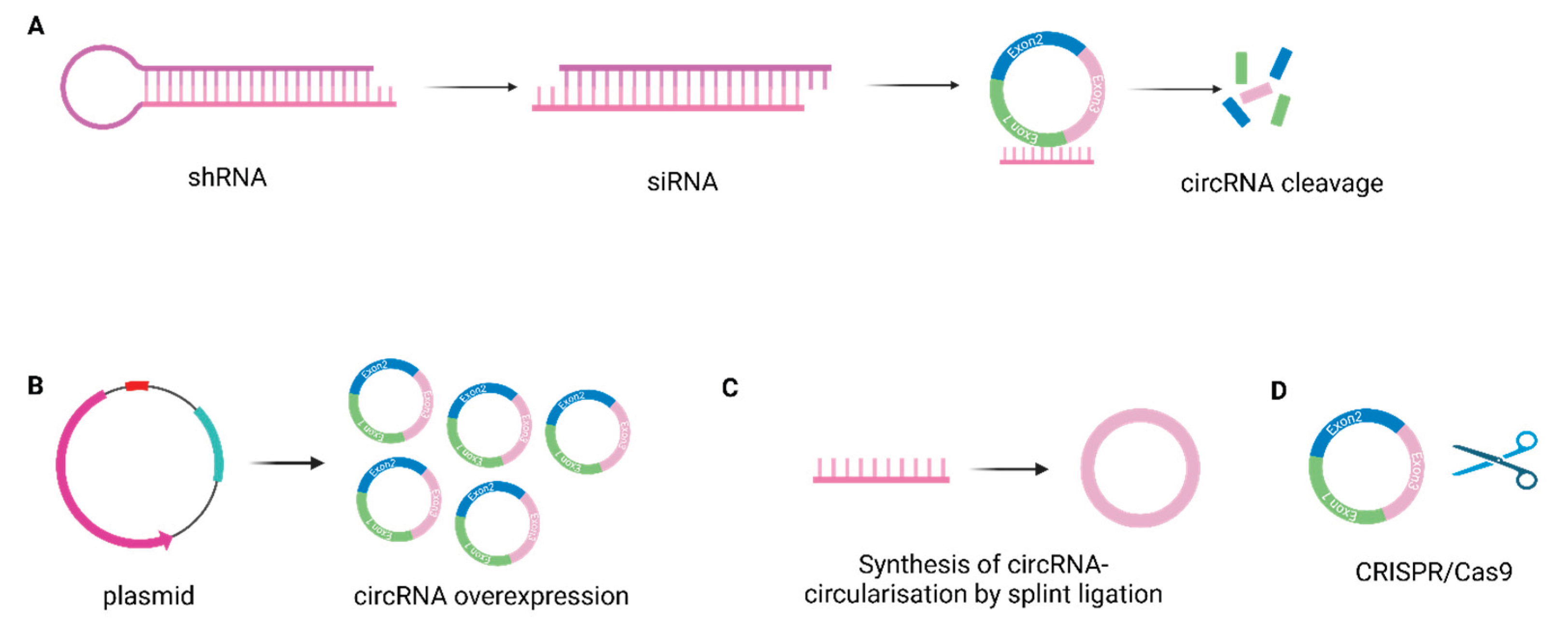 Preprints 177636 g007