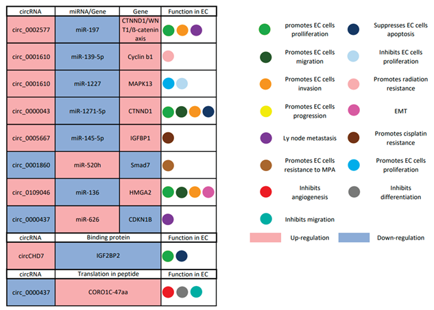 Preprints 177636 i001