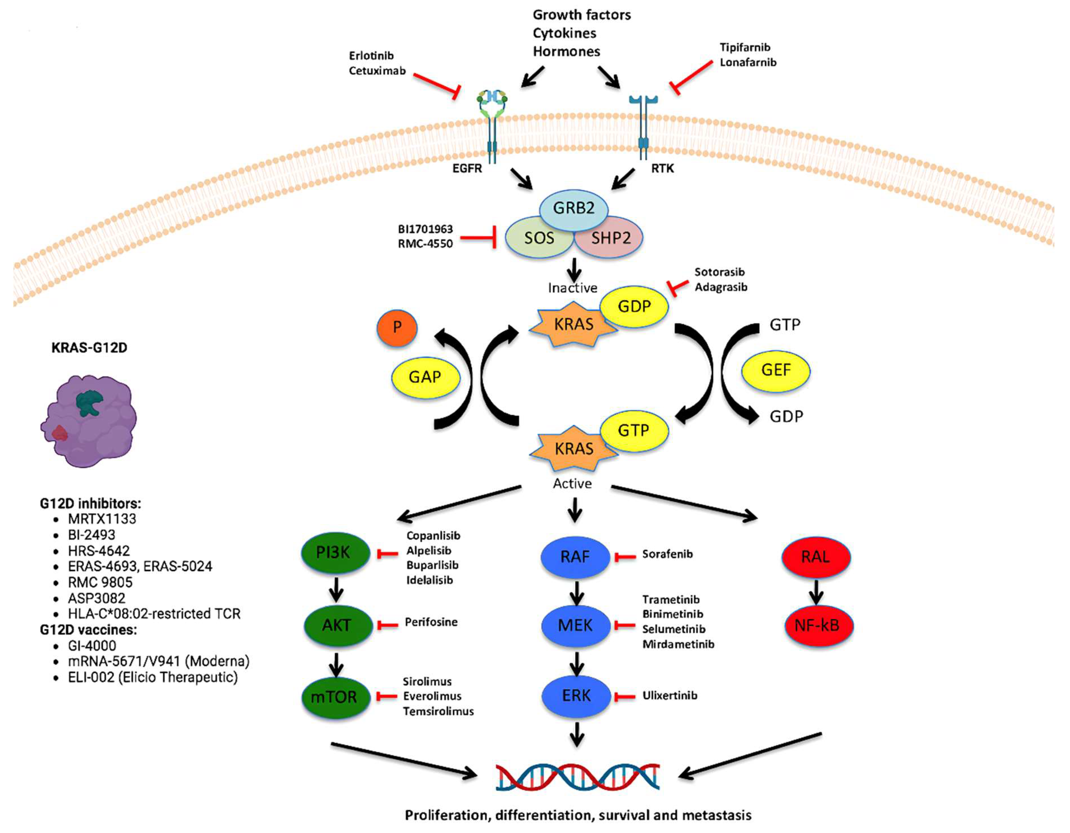 Preprints 143525 g002