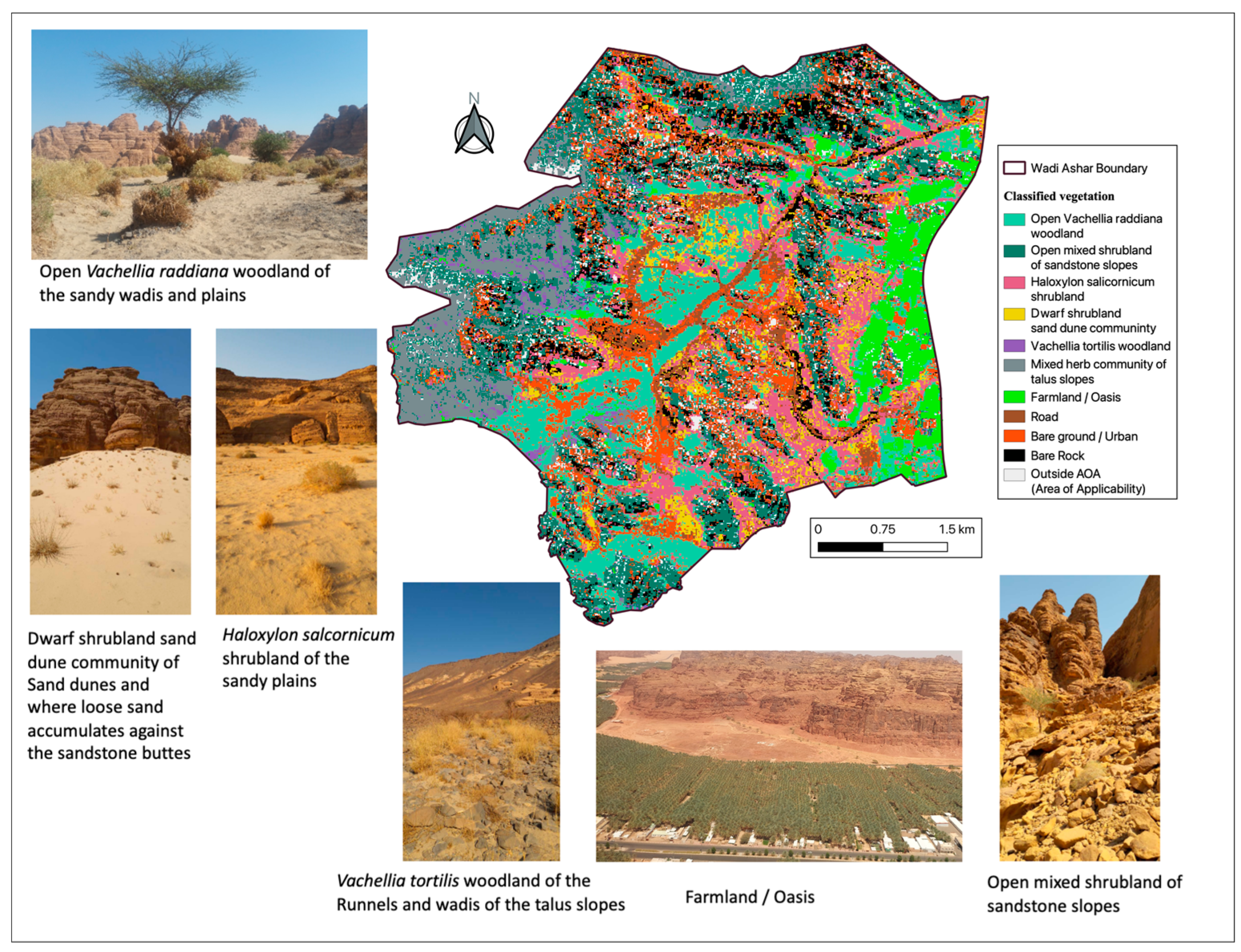 Preprints 156244 g008