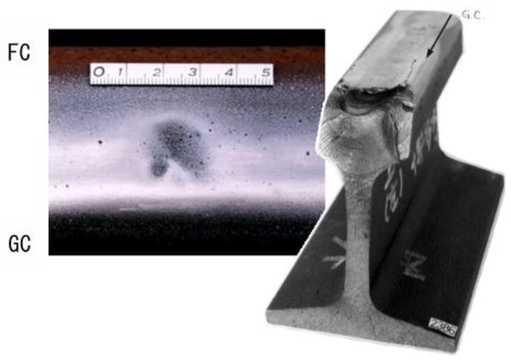 Preprints 171573 g003