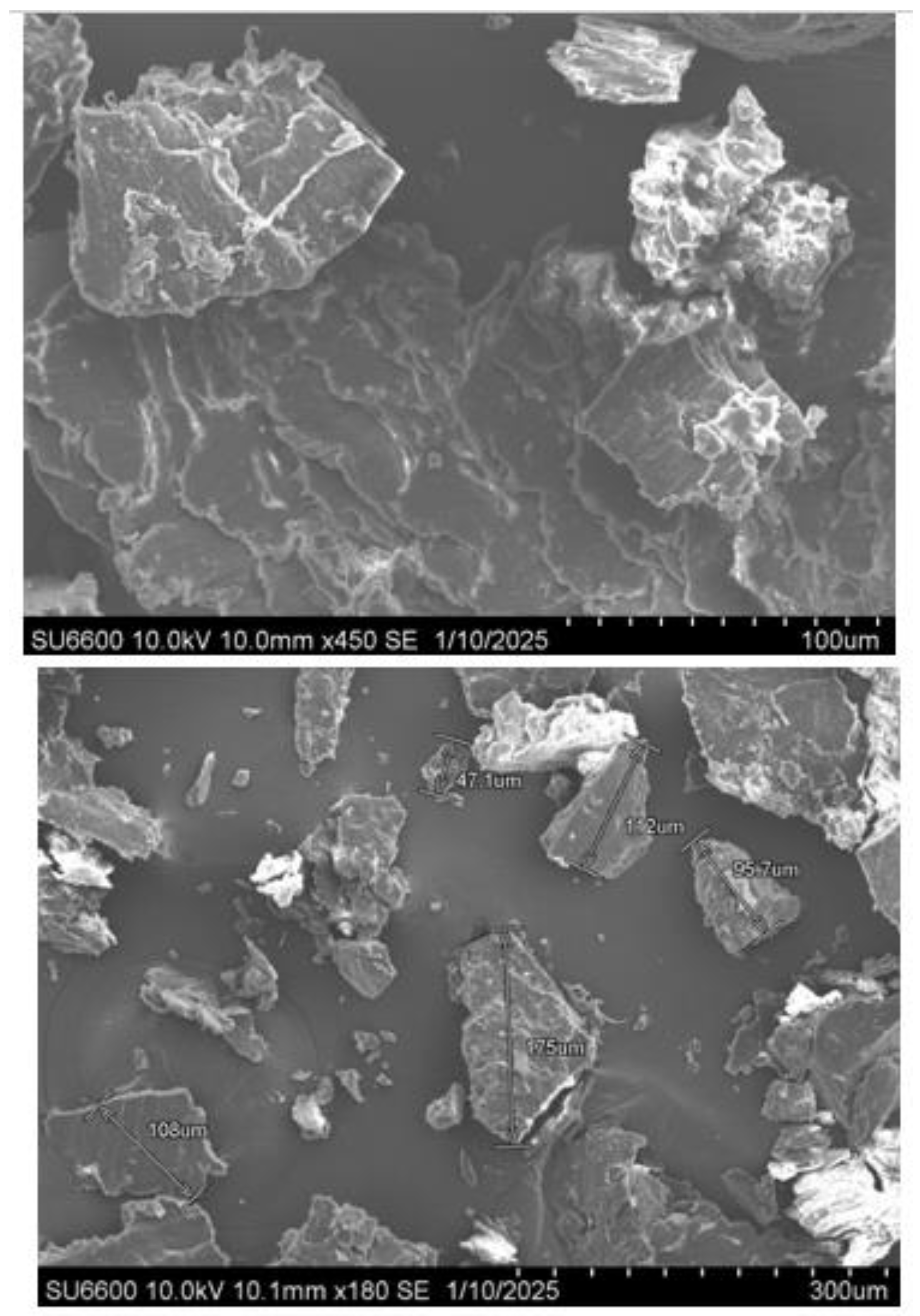 Preprints 191781 g003