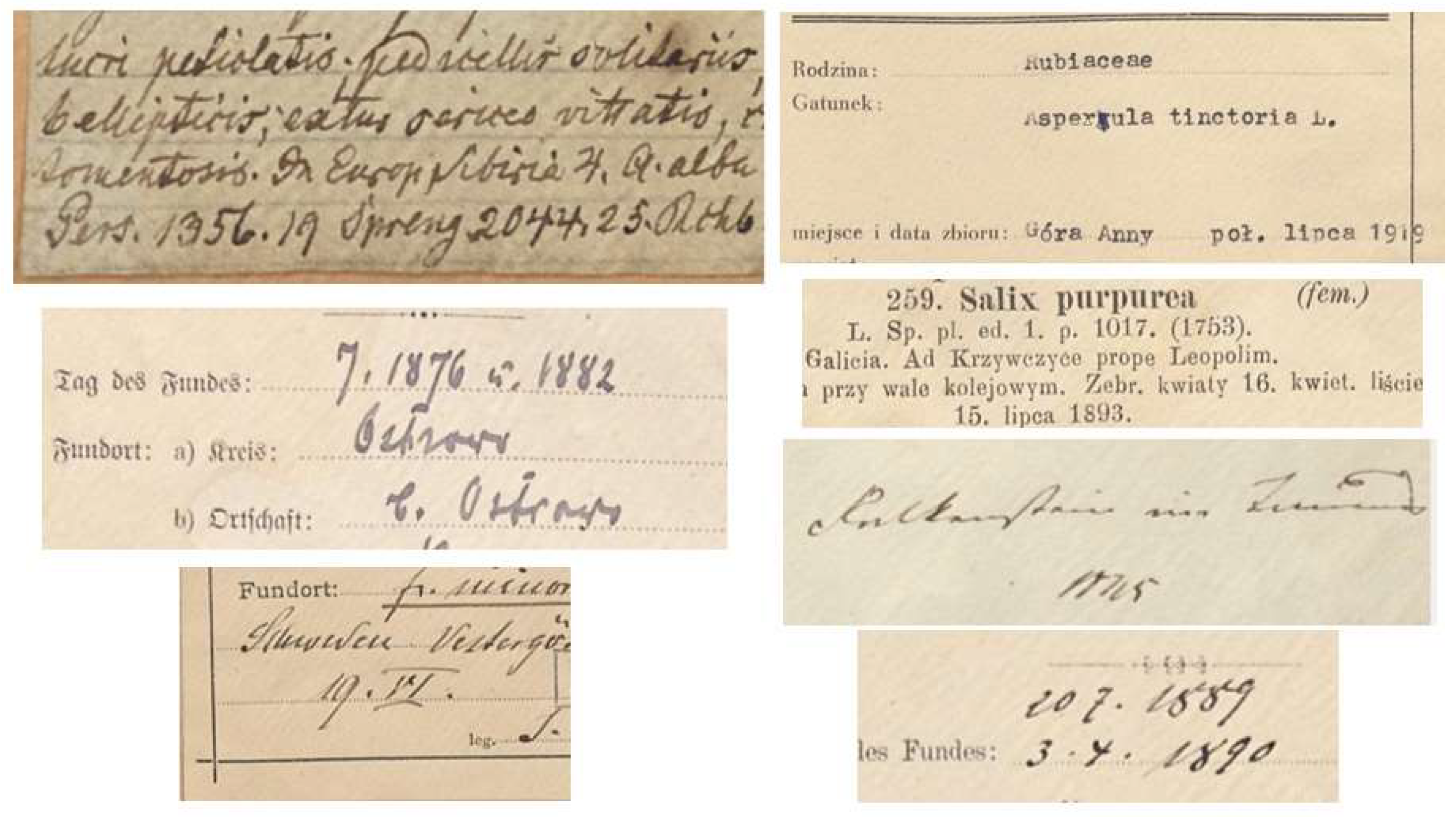 Preprints 151852 g004