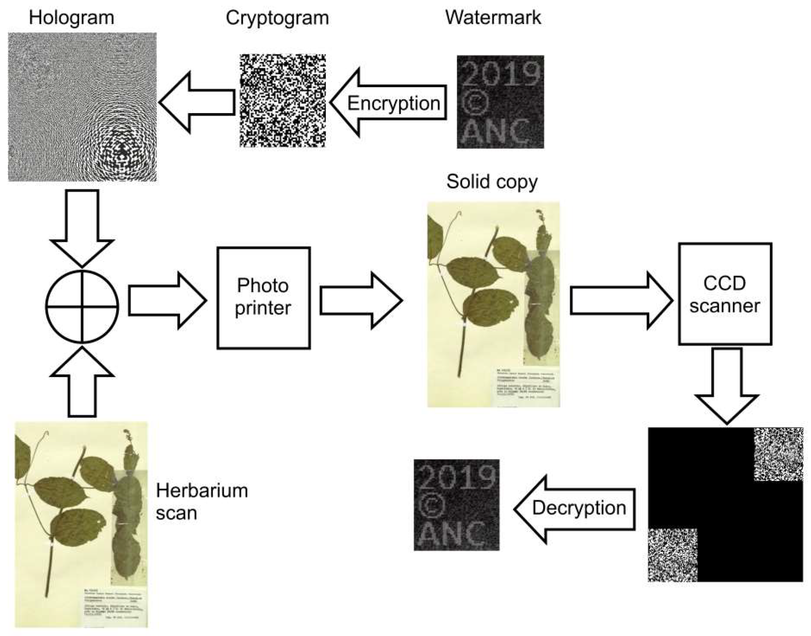 Preprints 151852 g008