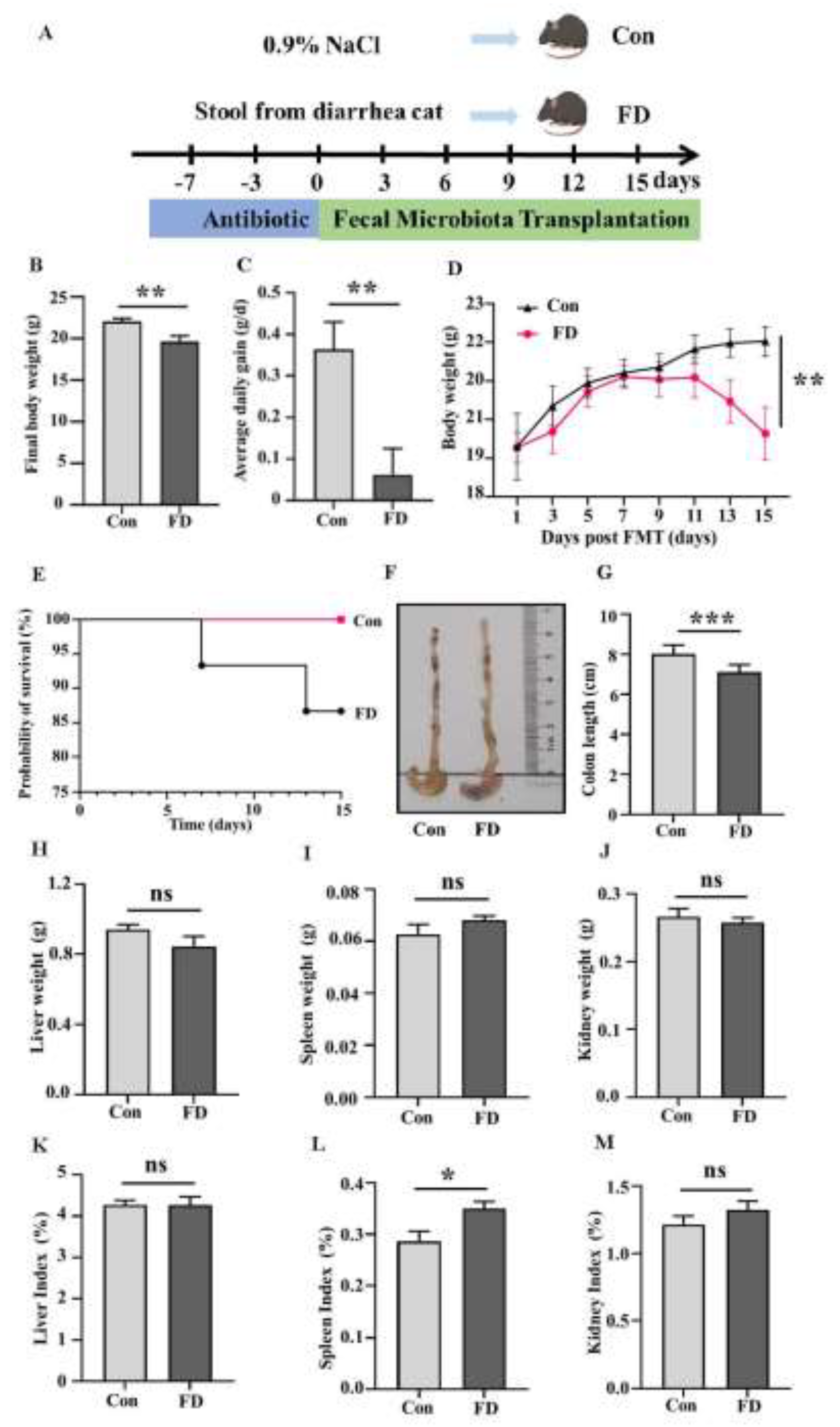 Preprints 197055 g001