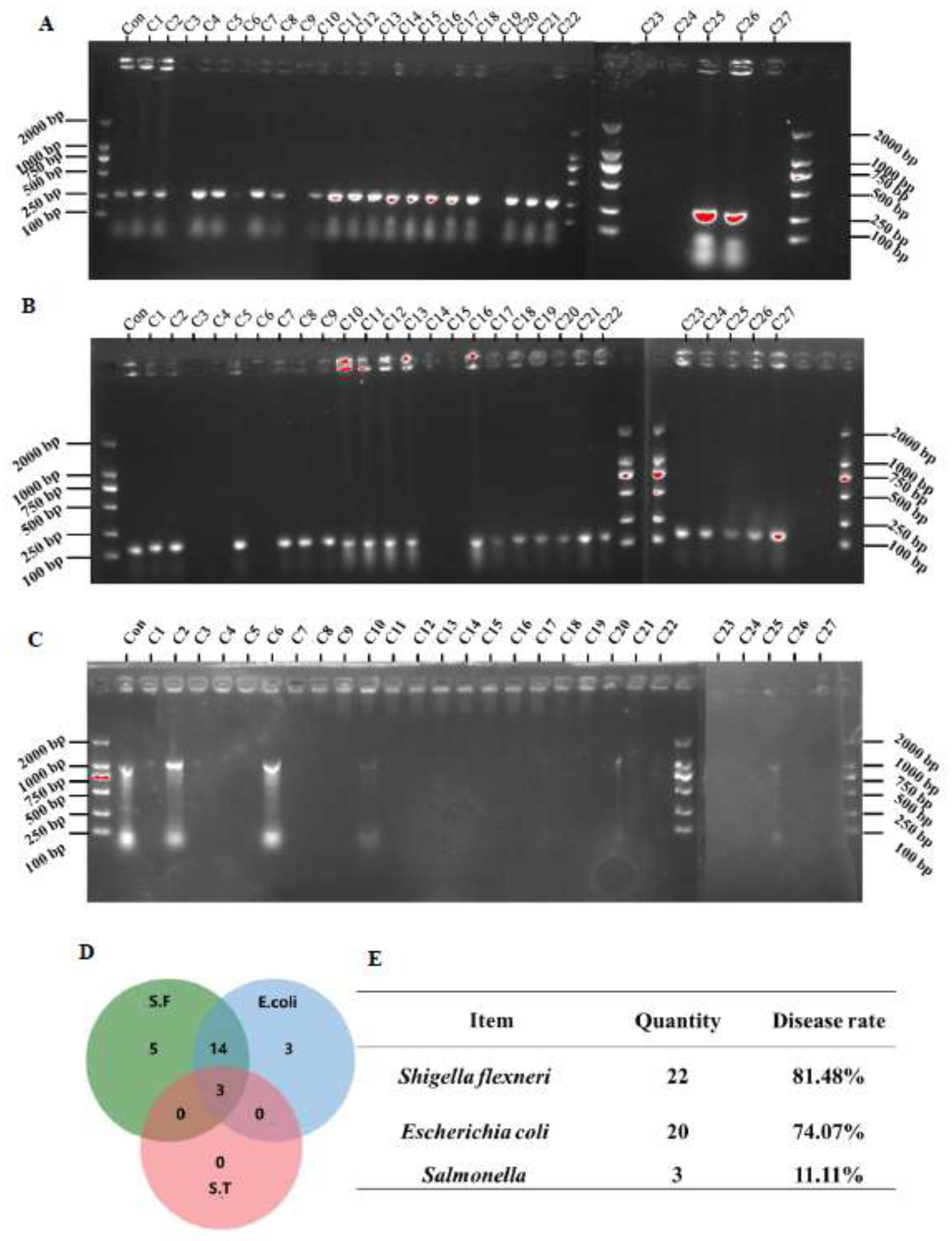 Preprints 197055 g006