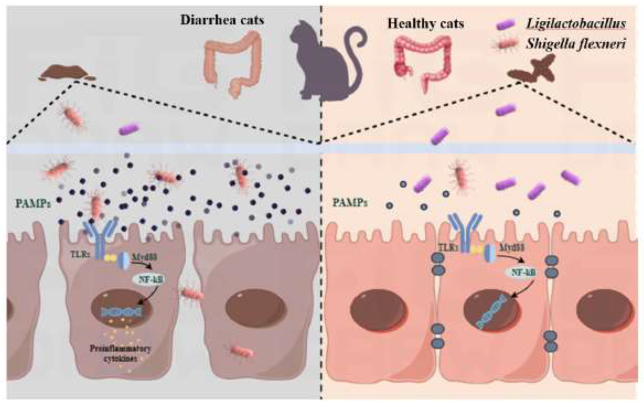 Preprints 197055 g007