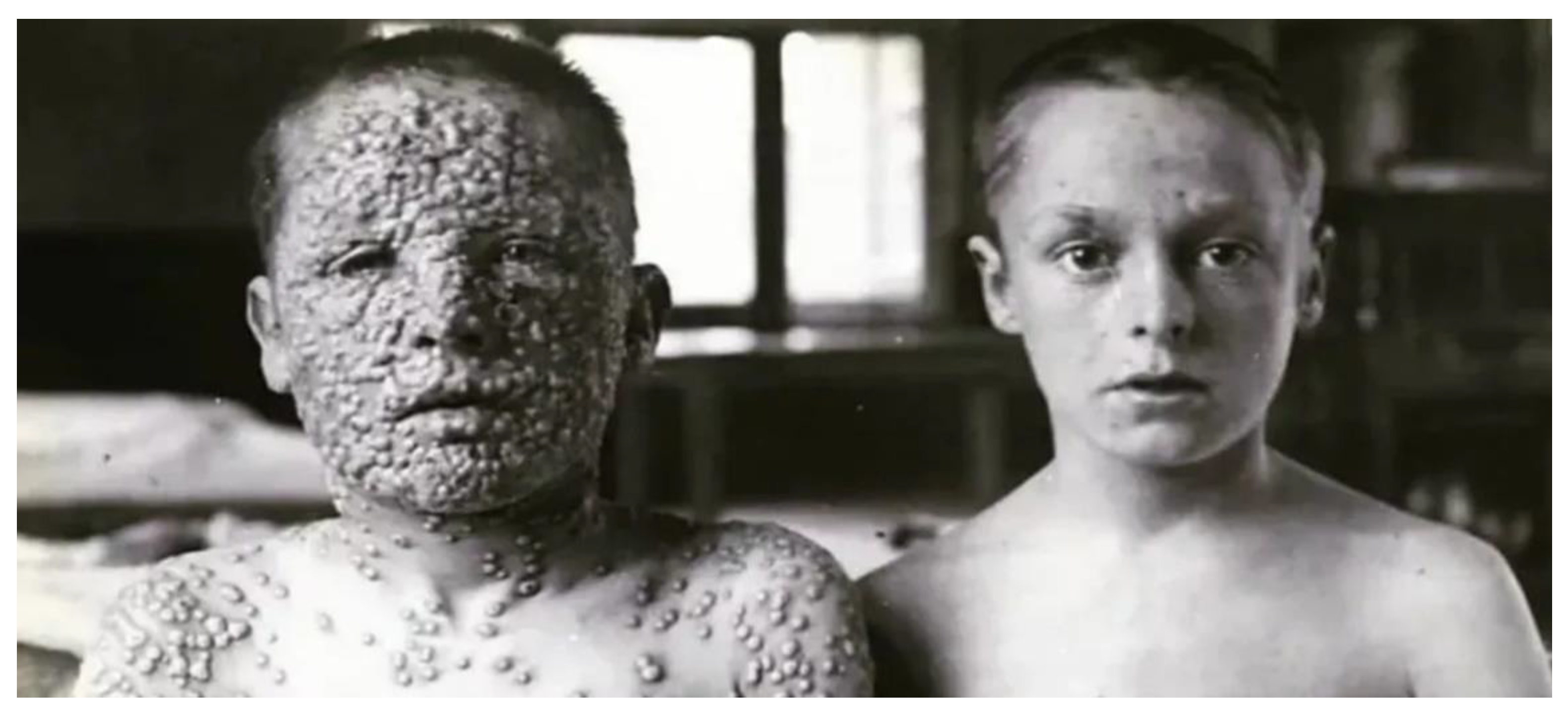 Preprints 139367 g007