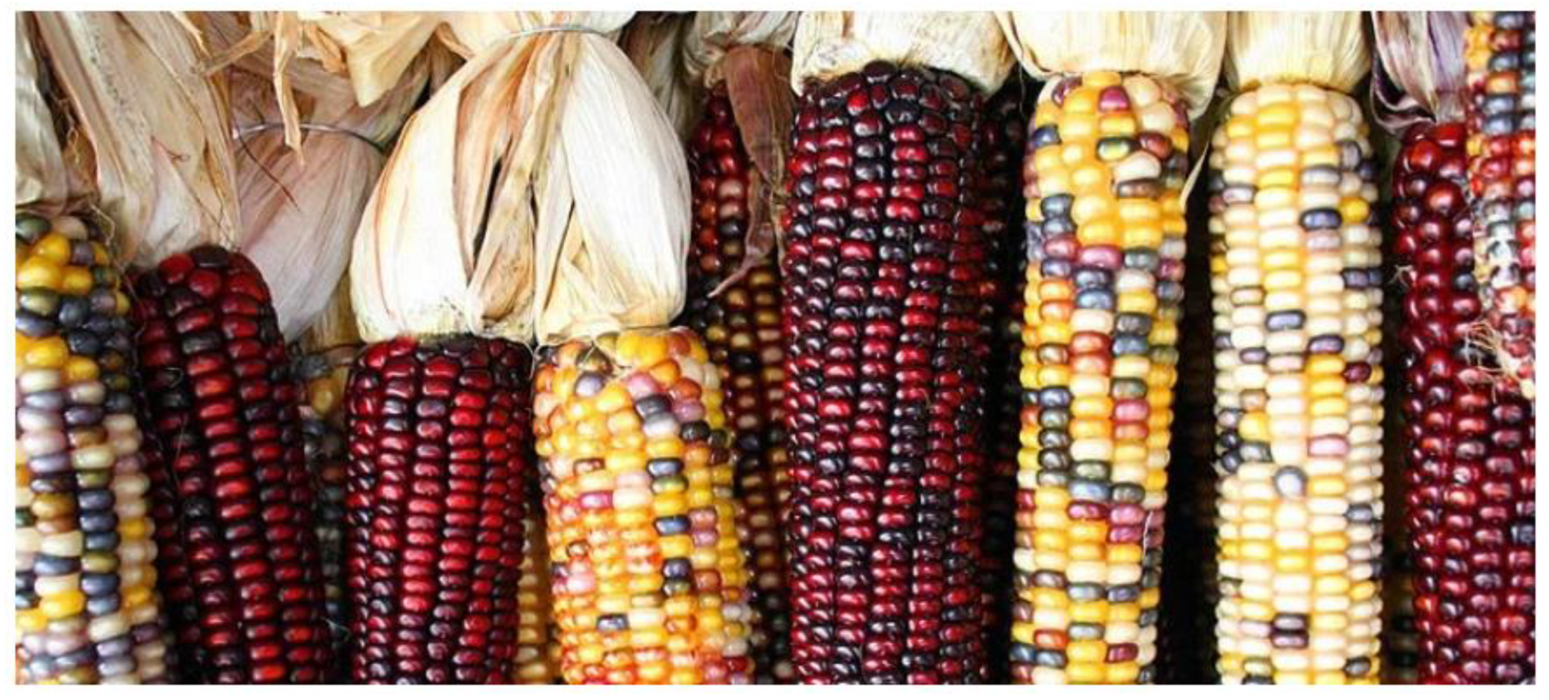 Preprints 139367 g0a1