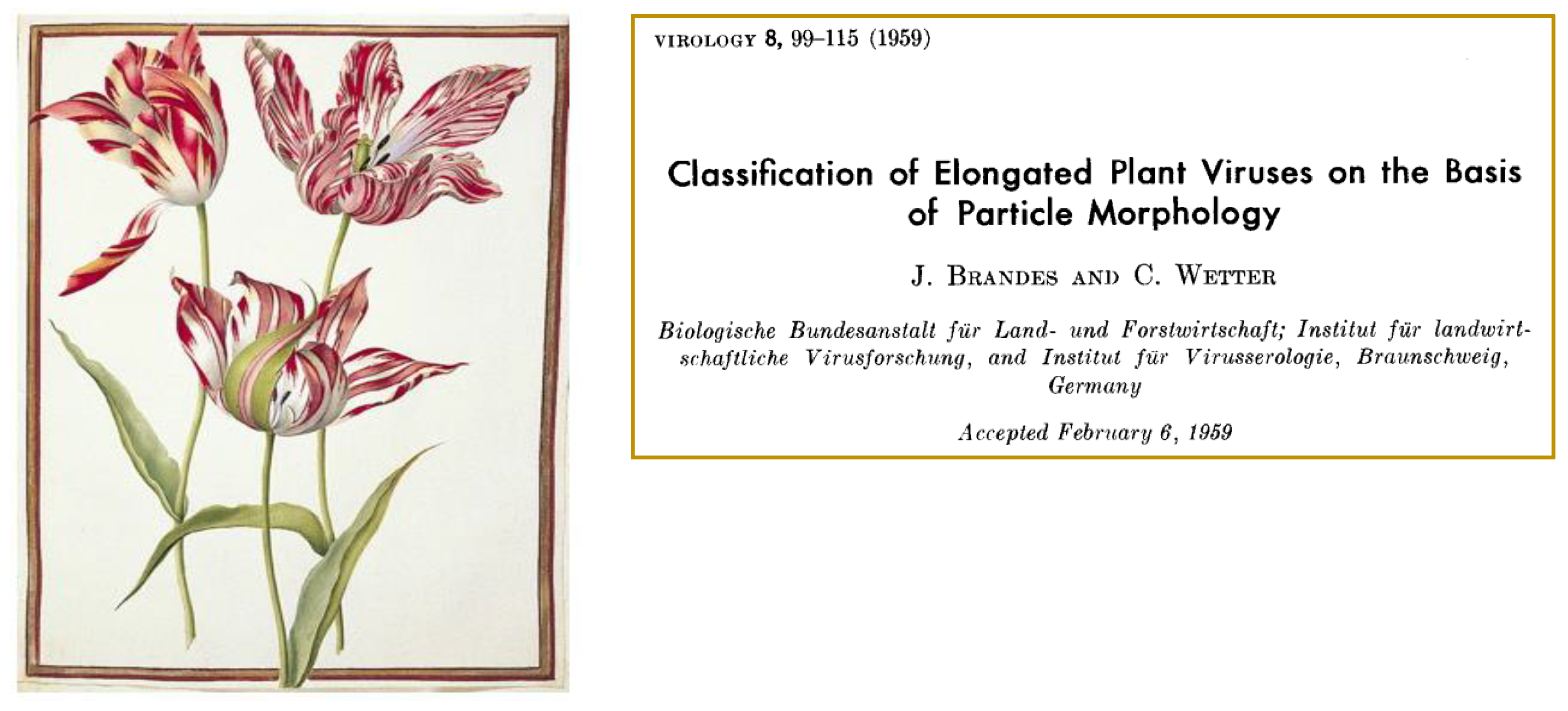 Preprints 139367 g0a2