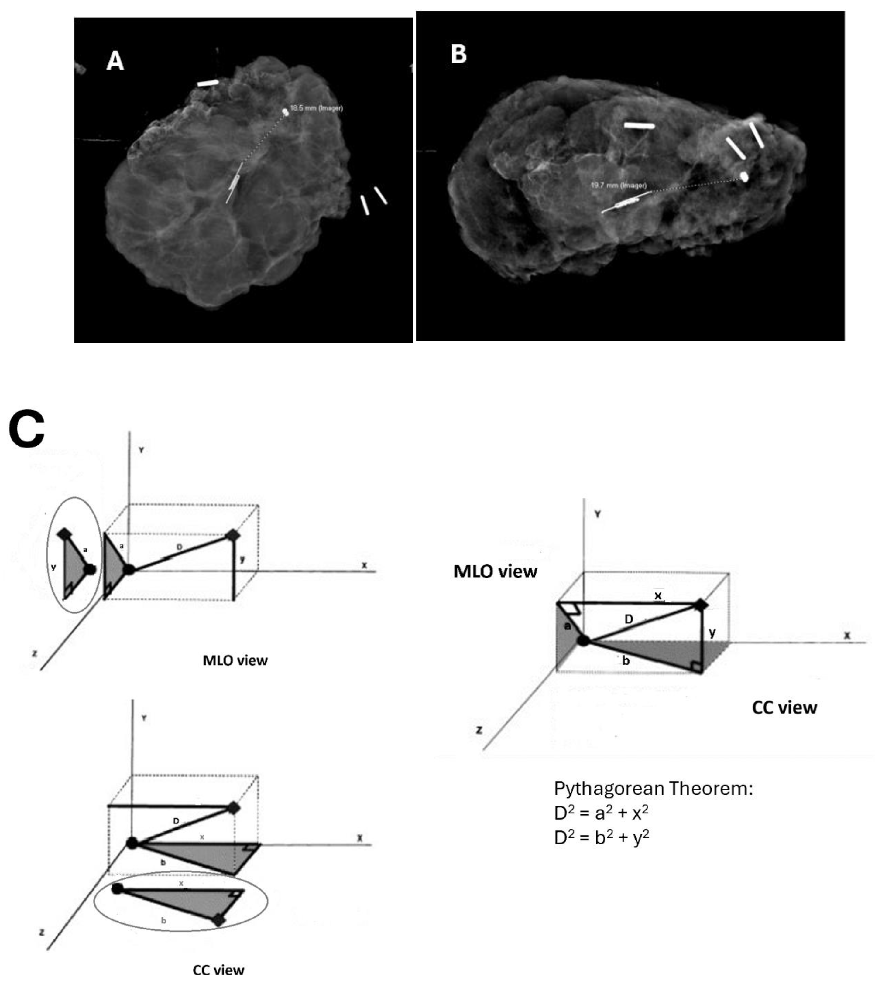 Preprints 162278 g001